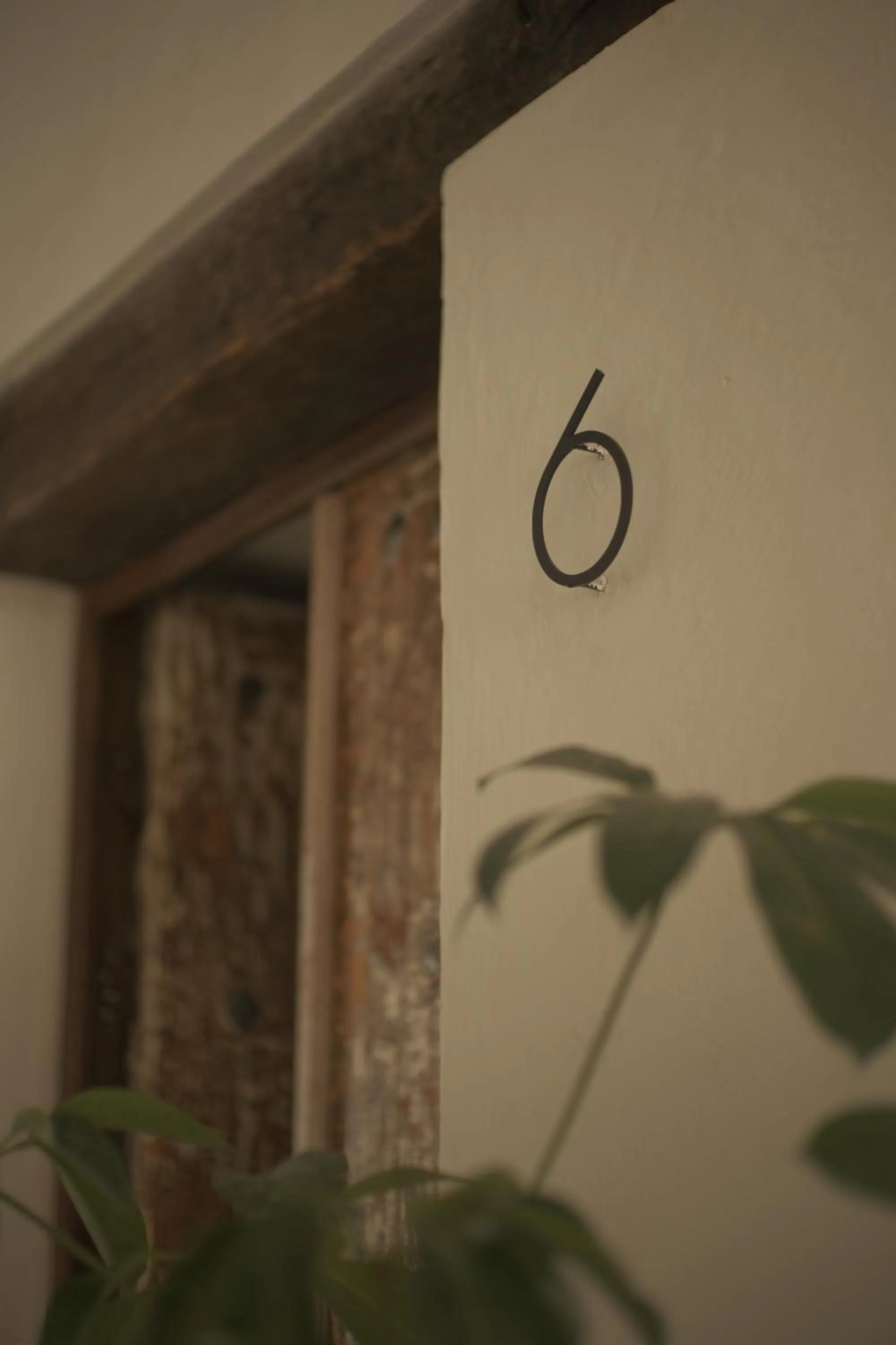 Decorative detail in Casa Raco - Parras de la Fuente