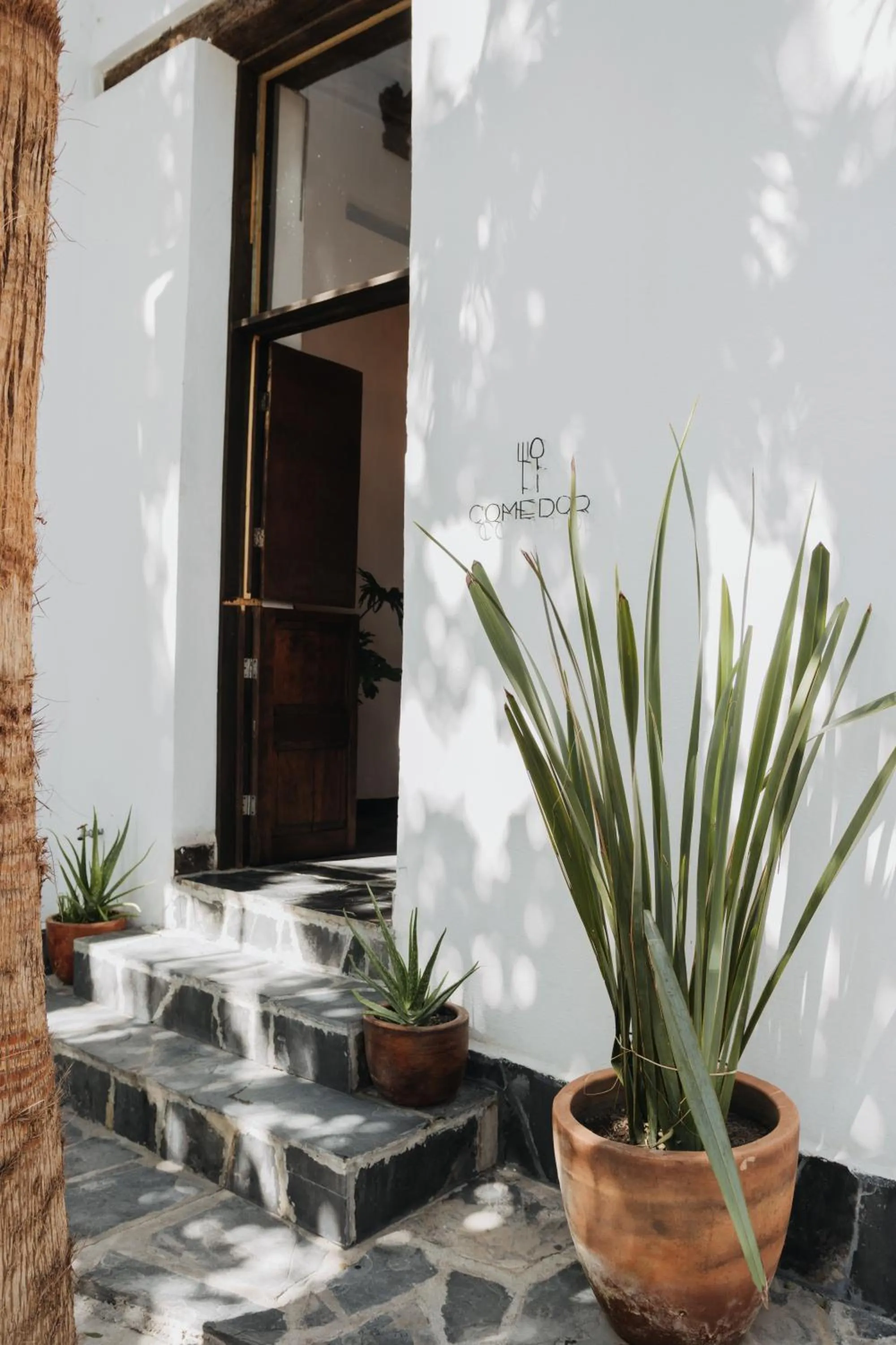 Dining area in Casa Raco - Parras de la Fuente
