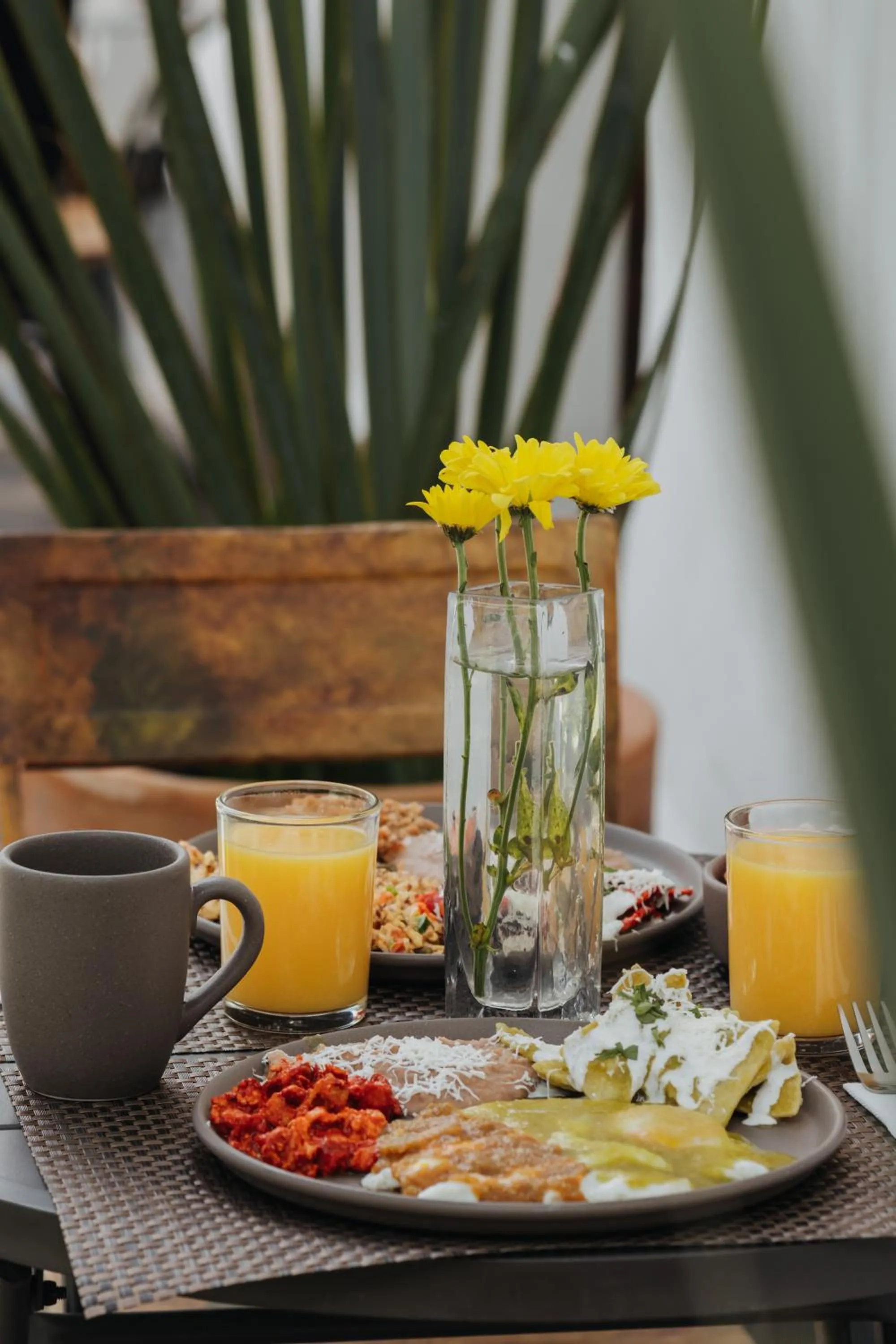Meals in Casa Raco - Parras de la Fuente