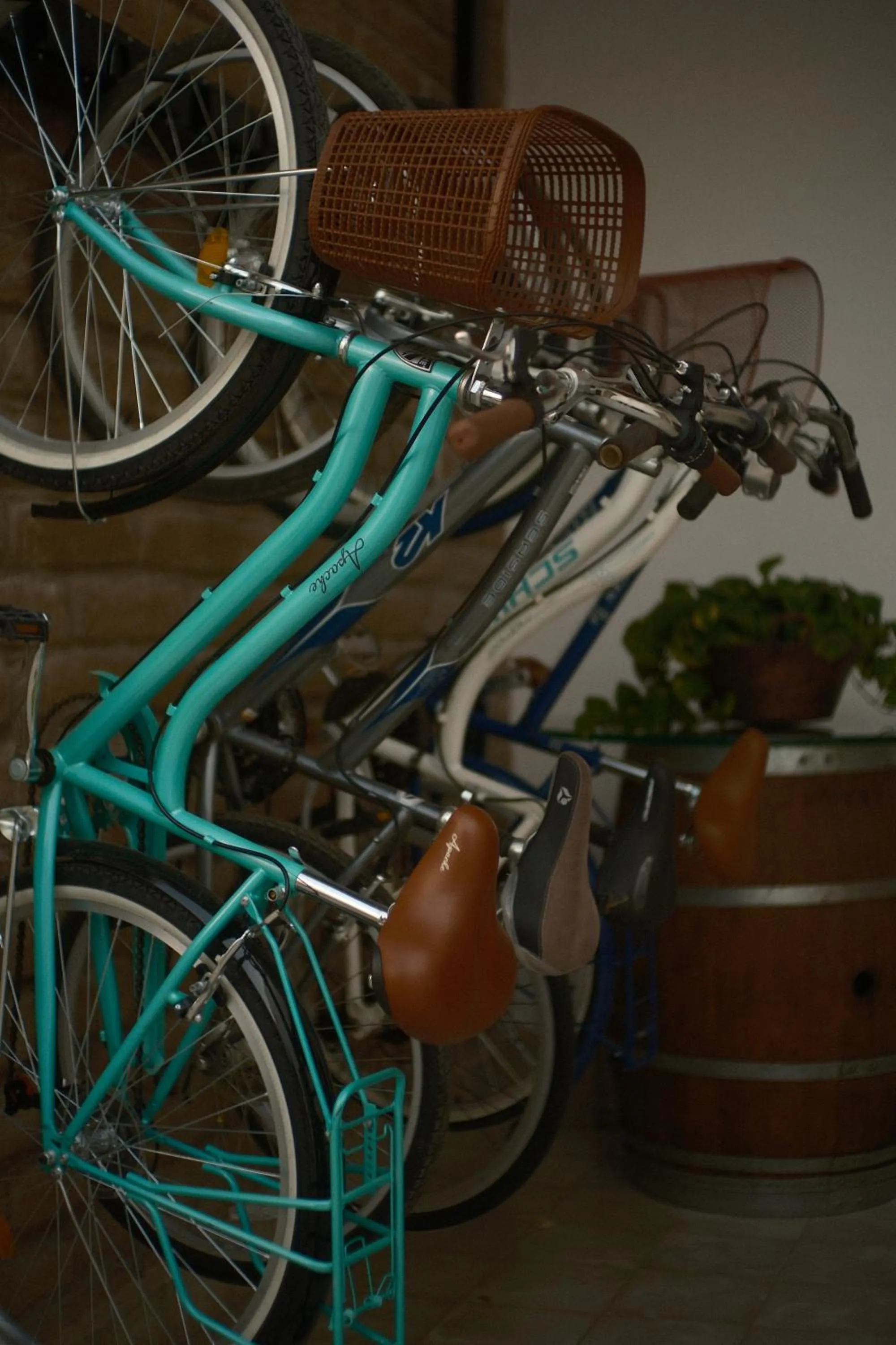 Cycling in Casa Raco - Parras de la Fuente