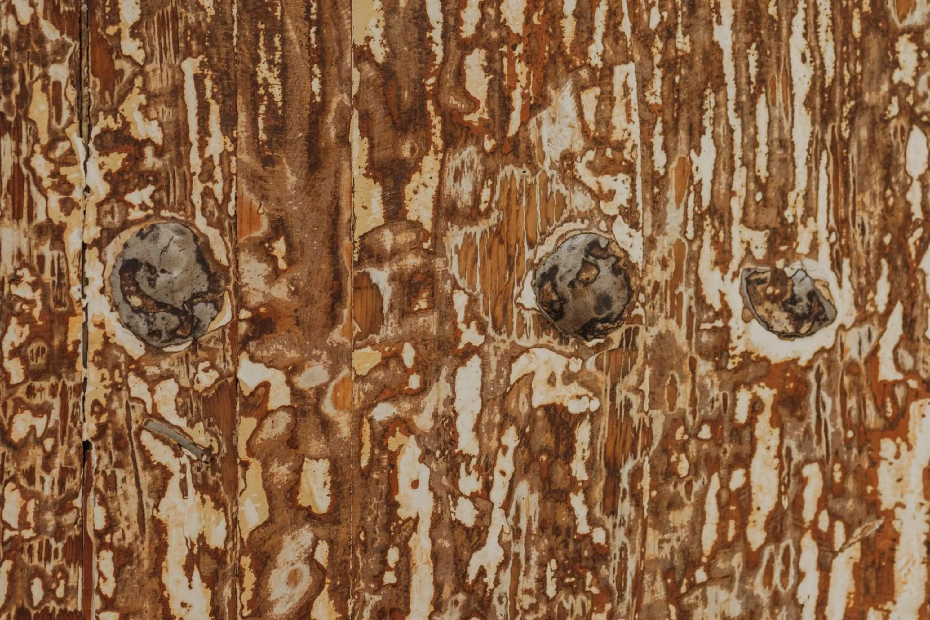 Sunrise in Casa Raco - Parras de la Fuente