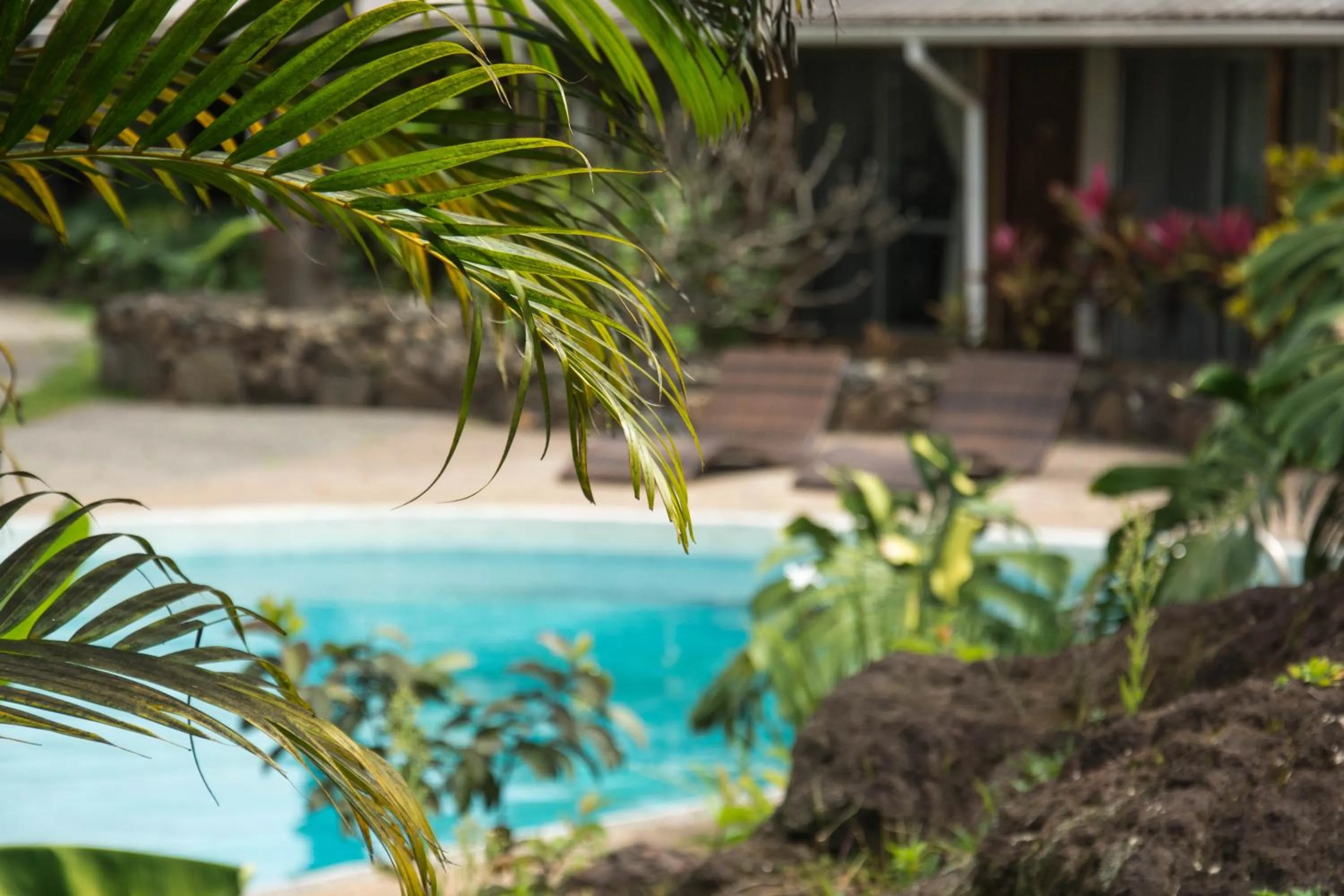 Garden in Hotel Hotu Matua by EI