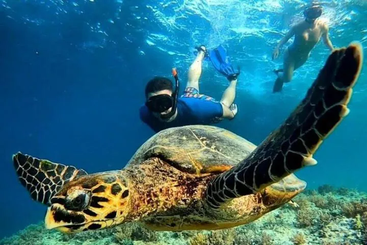Snorkeling in Zavana rooms & Restaurant