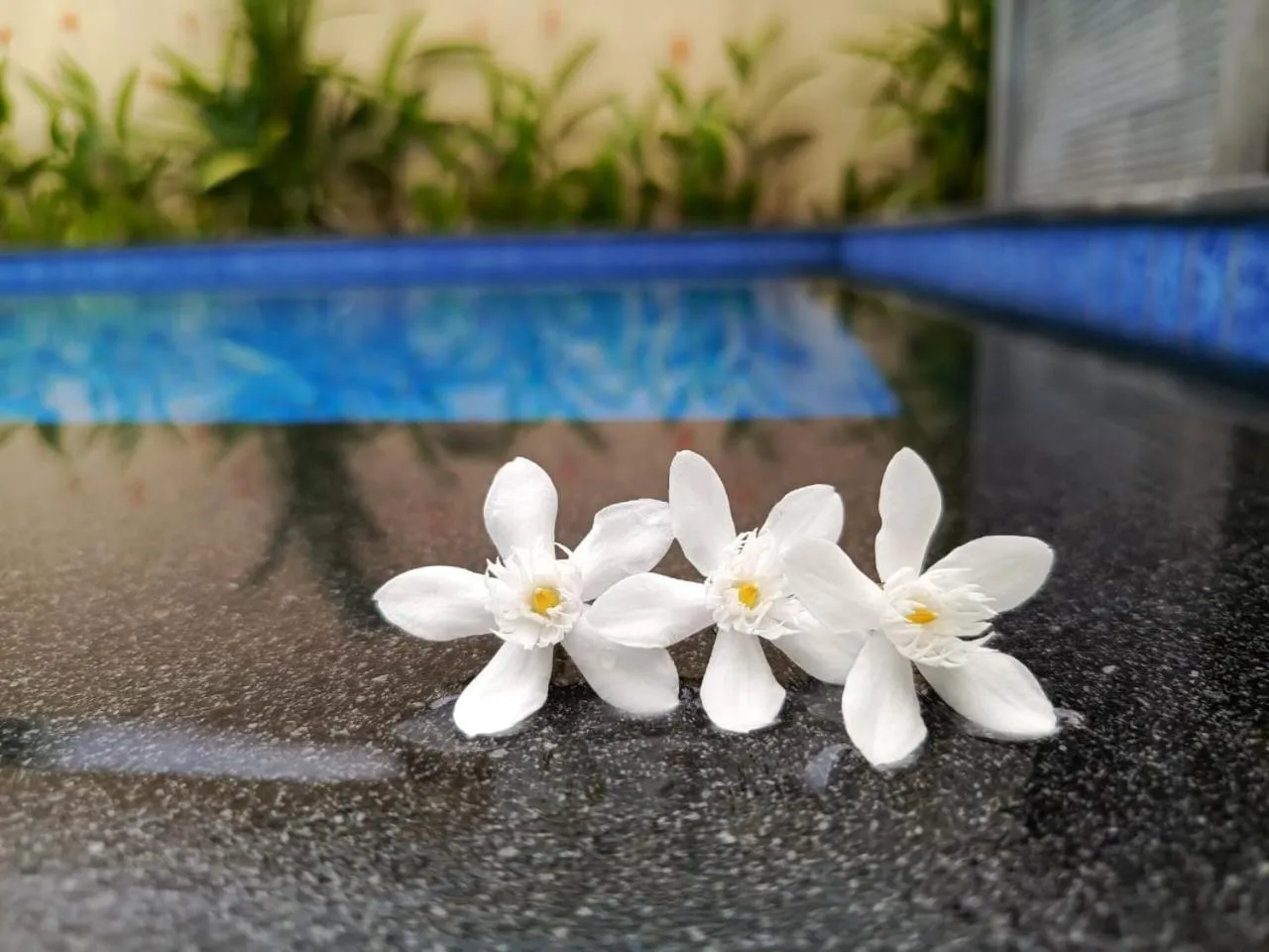 Restaurant/places to eat in Zavana rooms & Restaurant