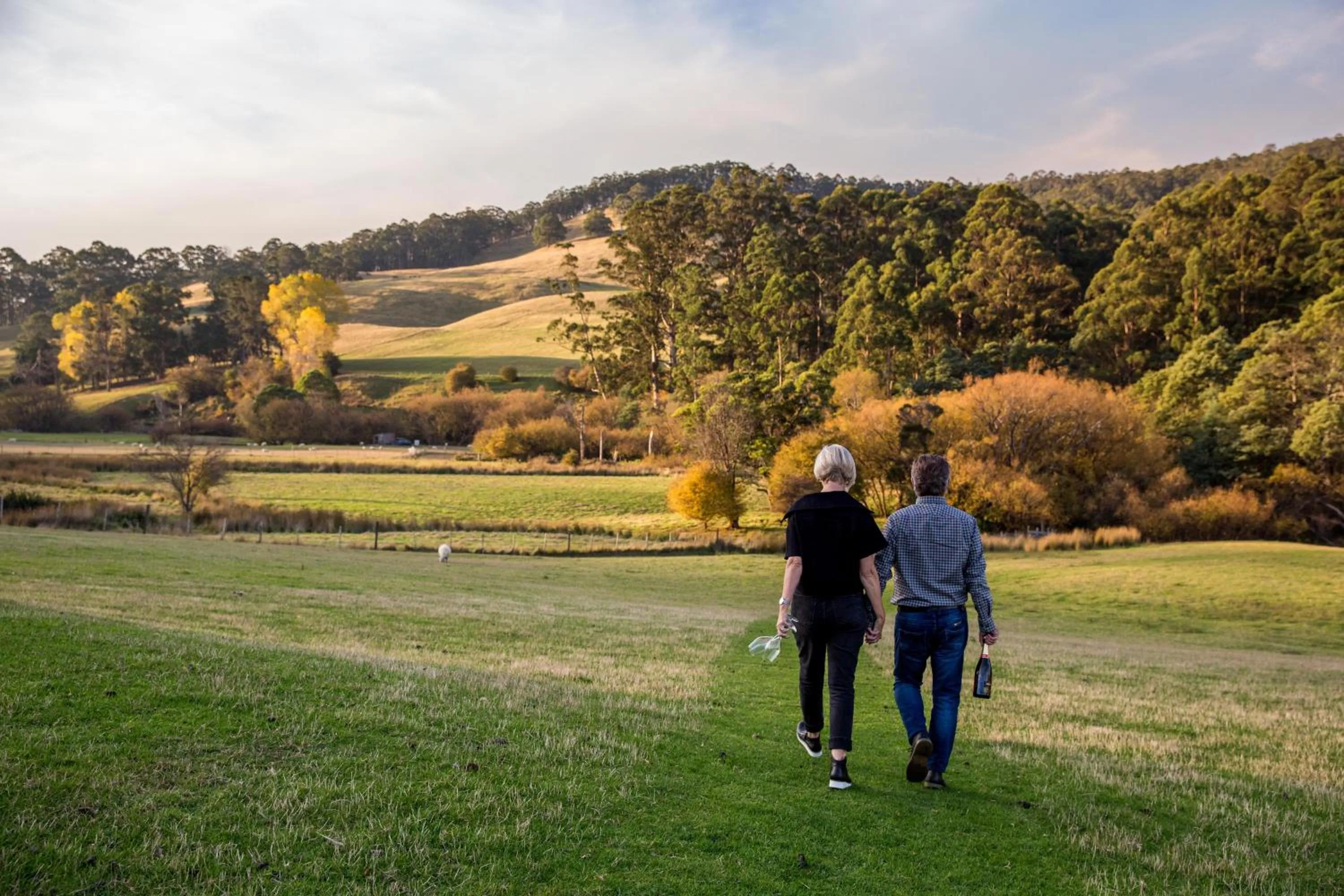 Natural landscape in Ashdowns of Dover