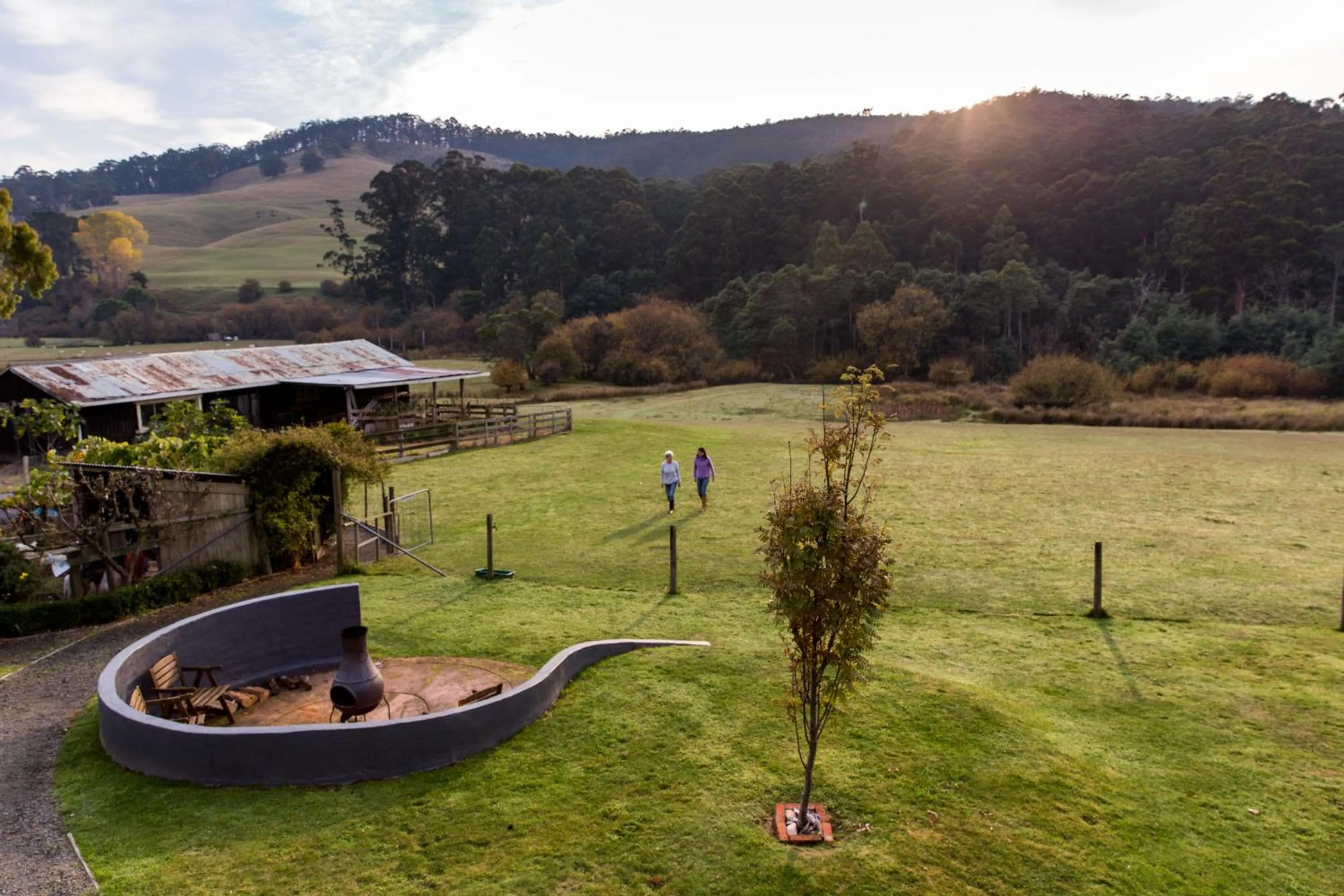 Natural landscape in Ashdowns of Dover