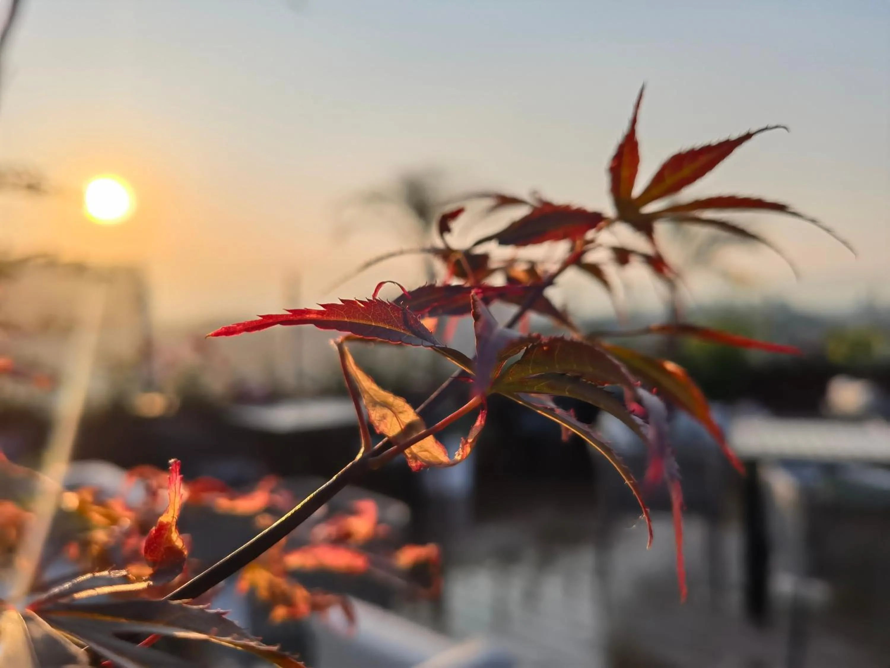 Property building in The Purple Horse Hotel Beijing