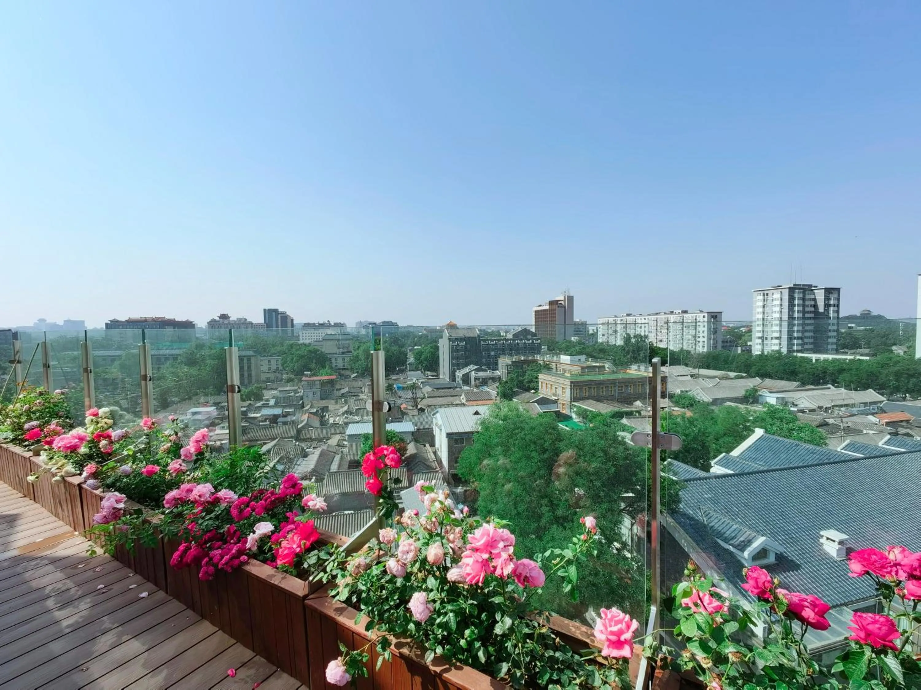 Balcony/Terrace in The Purple Horse Hotel Beijing