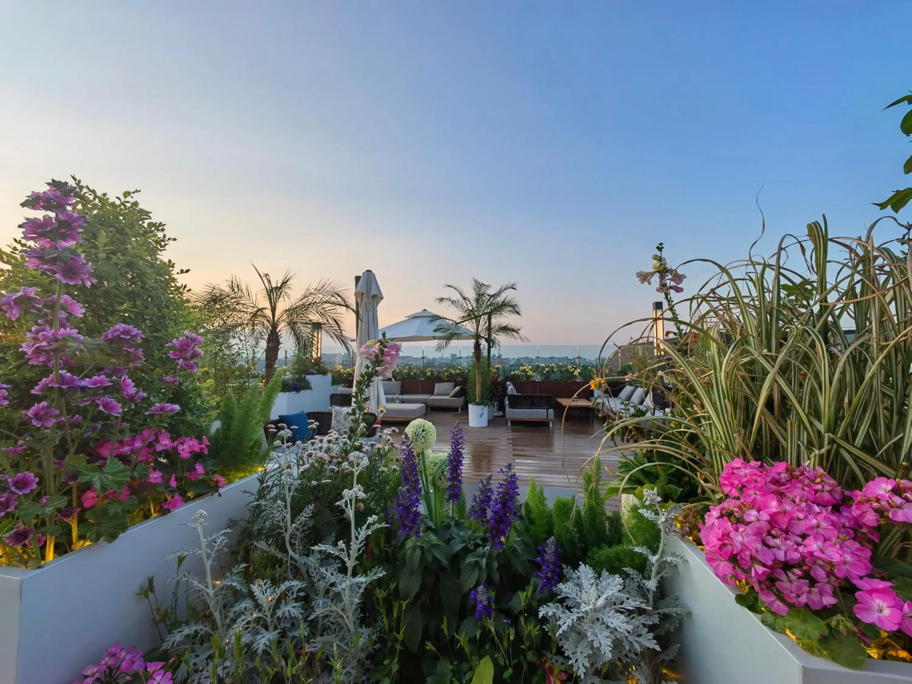 Balcony/Terrace in The Purple Horse Hotel Beijing