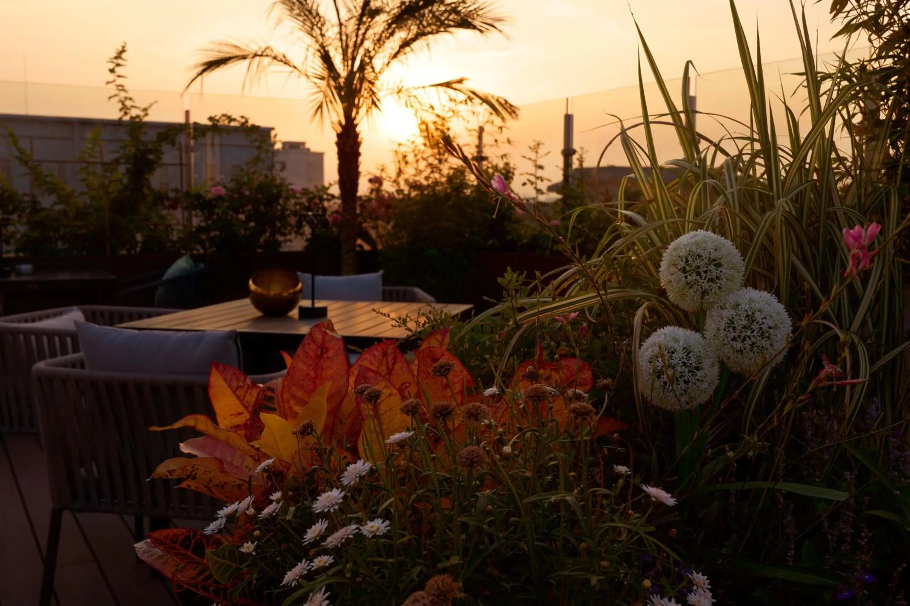 Garden in The Purple Horse Hotel Beijing