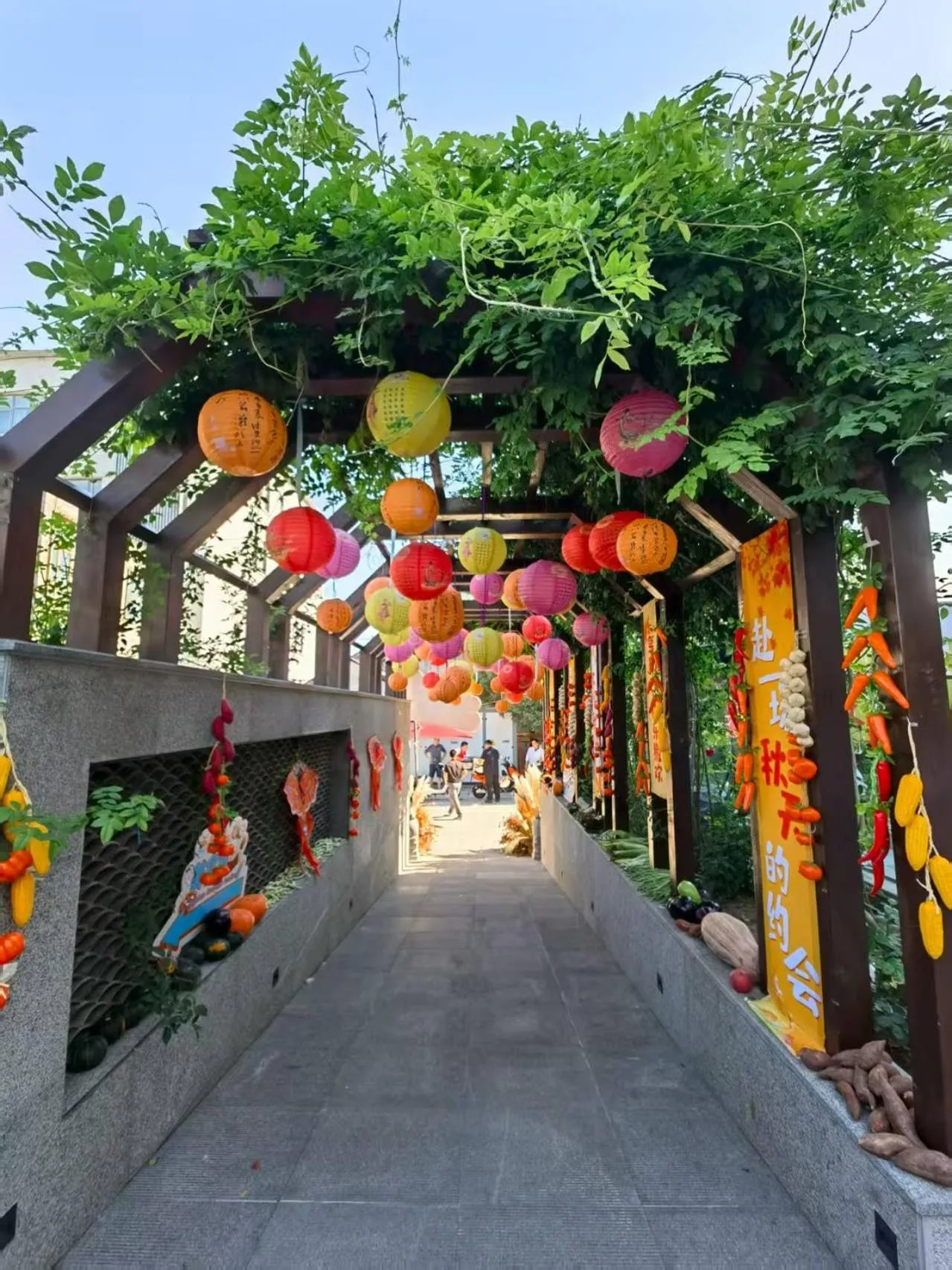 Patio in The Purple Horse Hotel Beijing