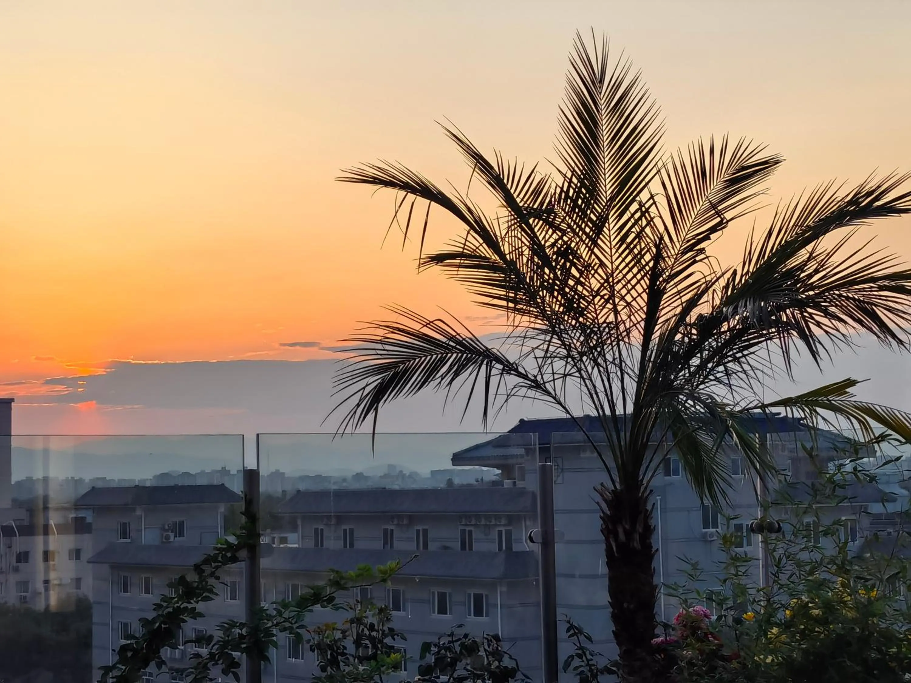 Balcony/Terrace in The Purple Horse Hotel Beijing