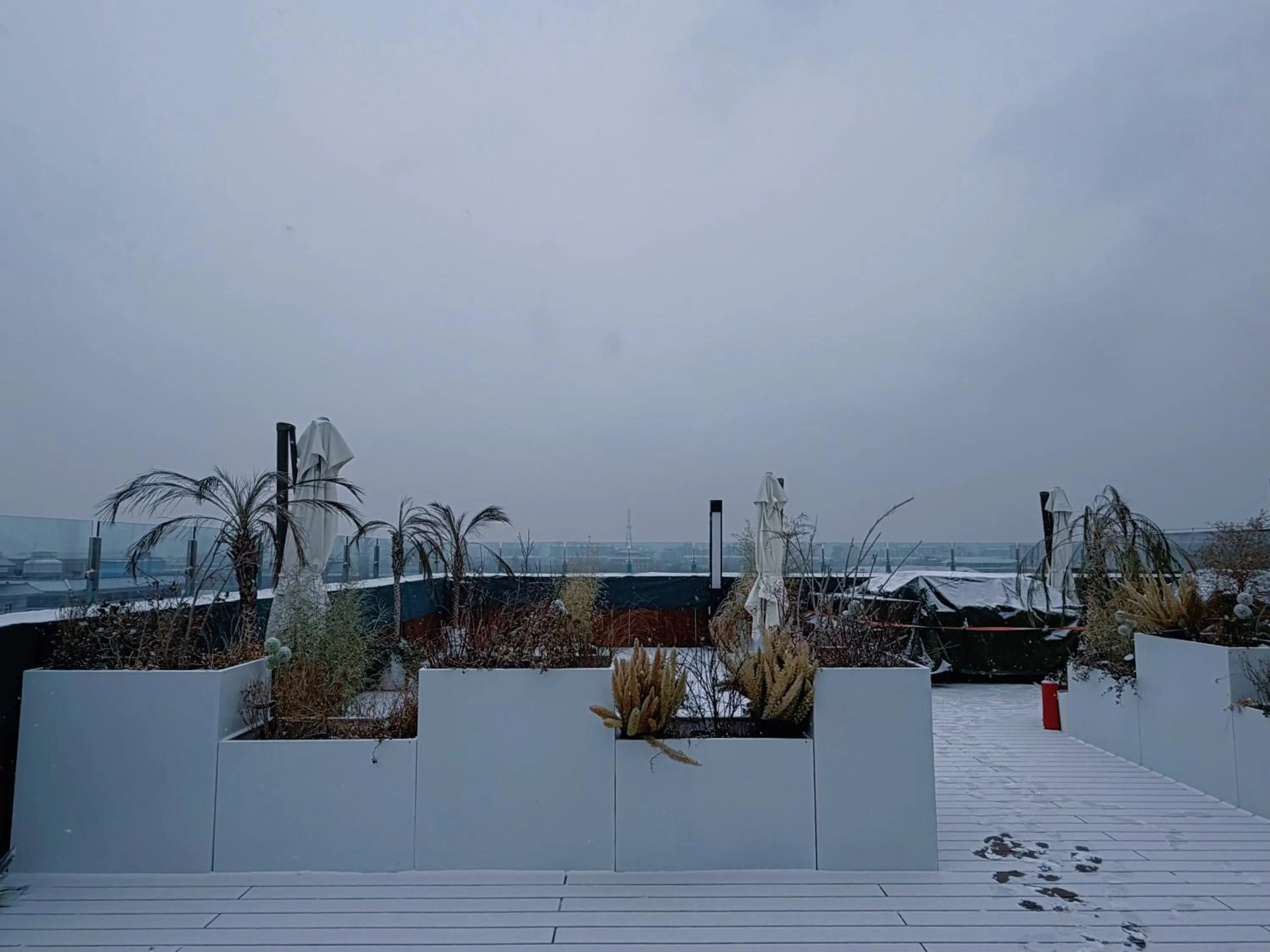 Balcony/Terrace in The Purple Horse Hotel Beijing
