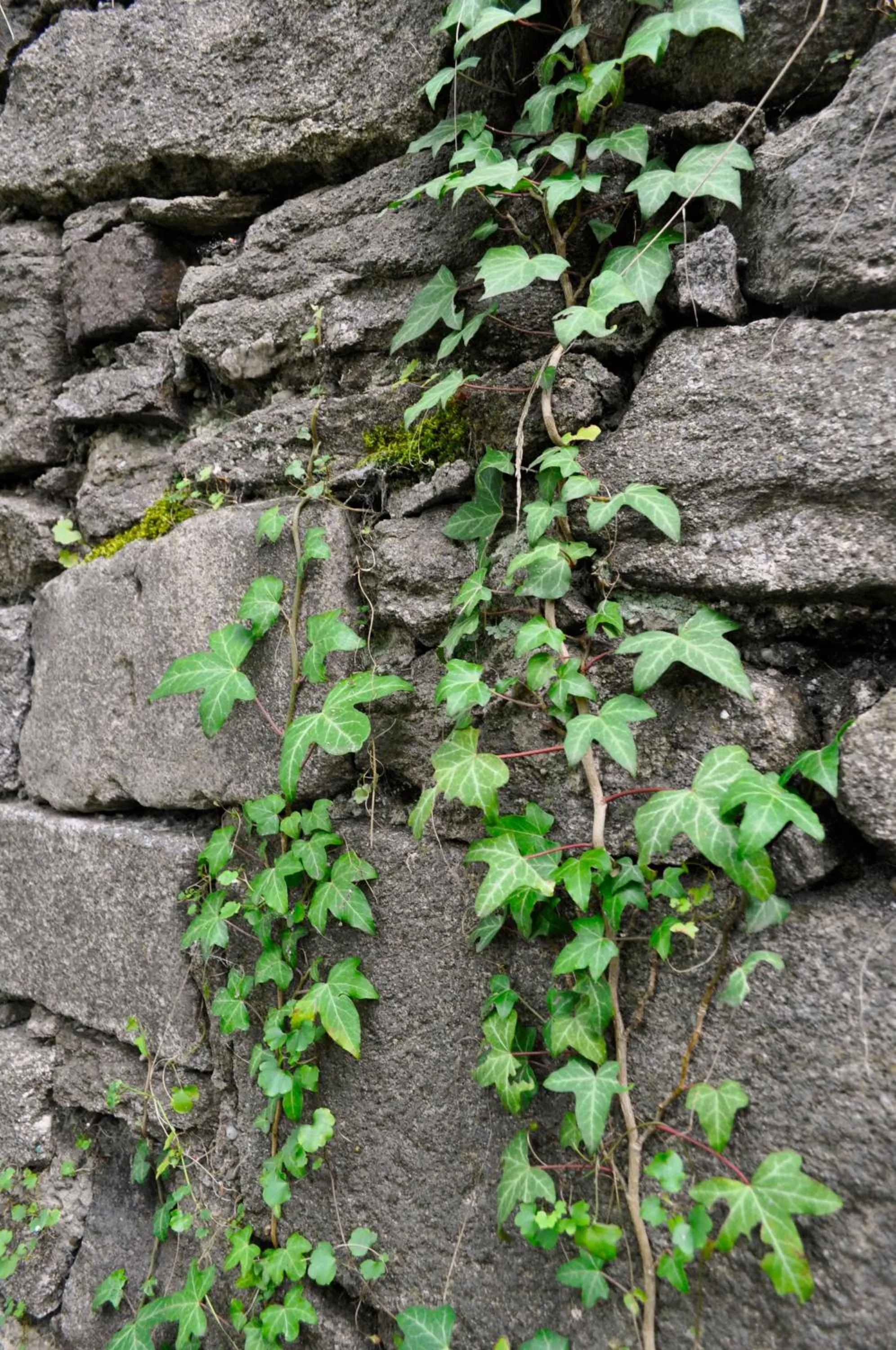 Facade/entrance in Art Hotel & Hostel
