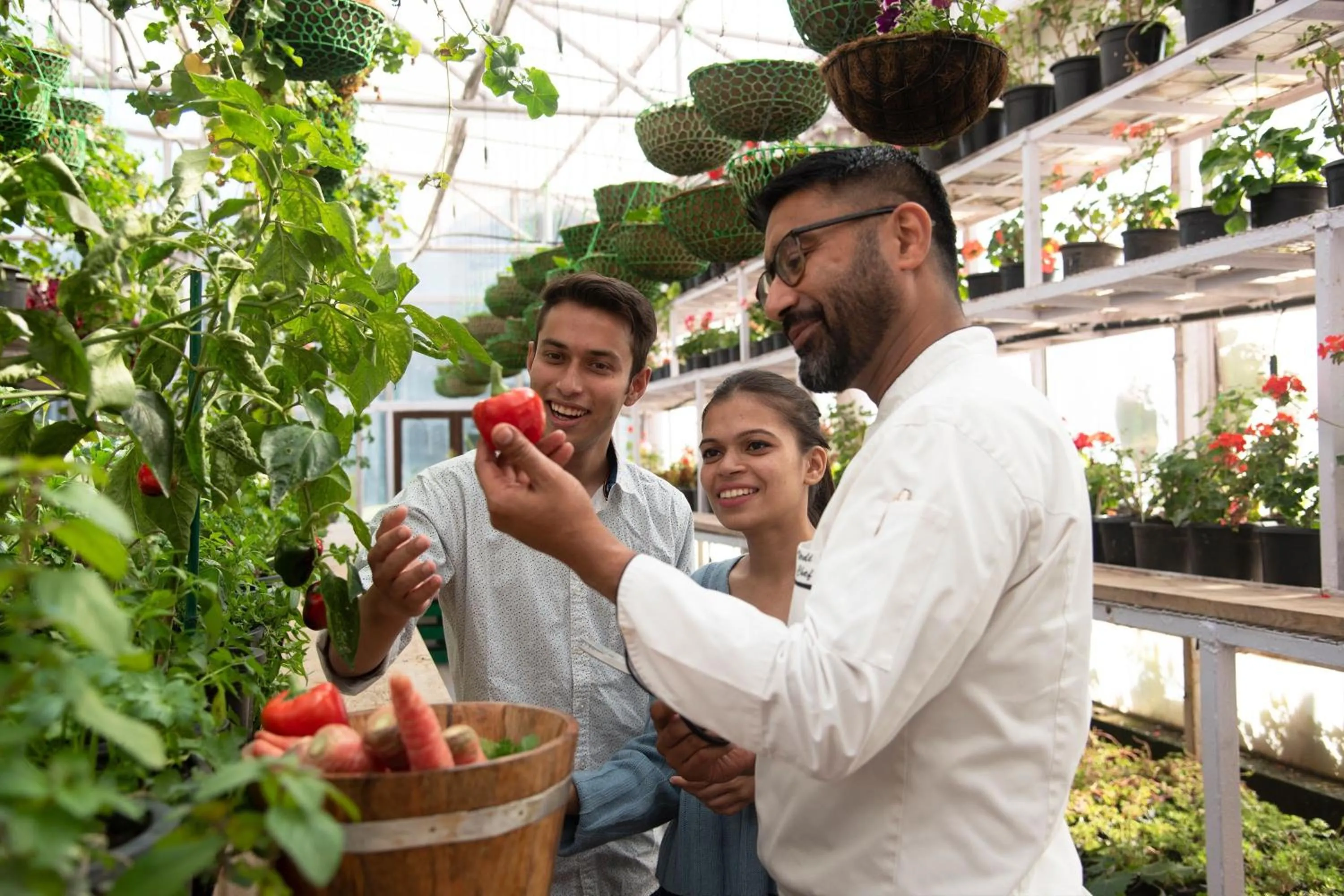 Other in JW Marriott Mussoorie Walnut Grove Resort & Spa