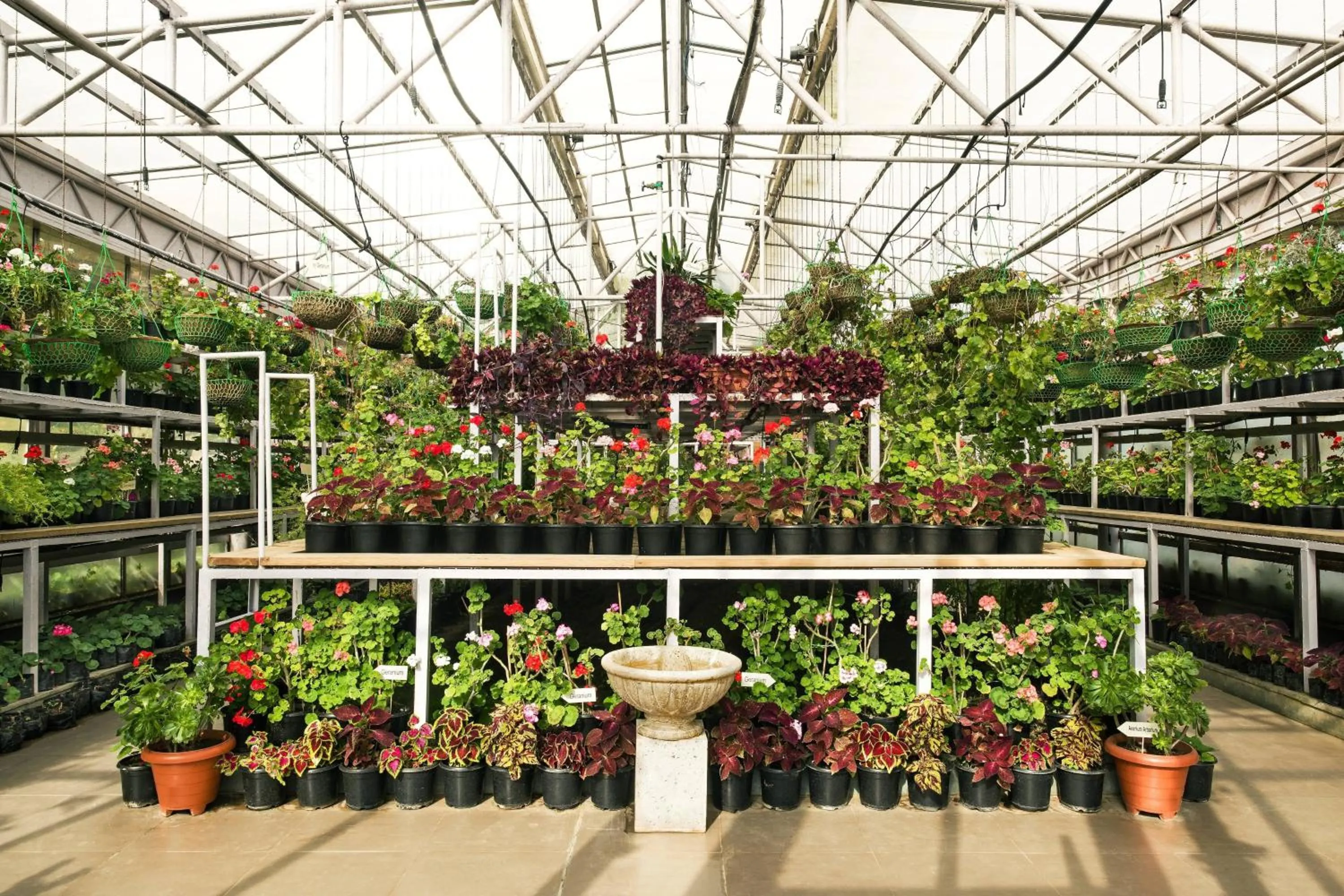 Other in JW Marriott Mussoorie Walnut Grove Resort & Spa