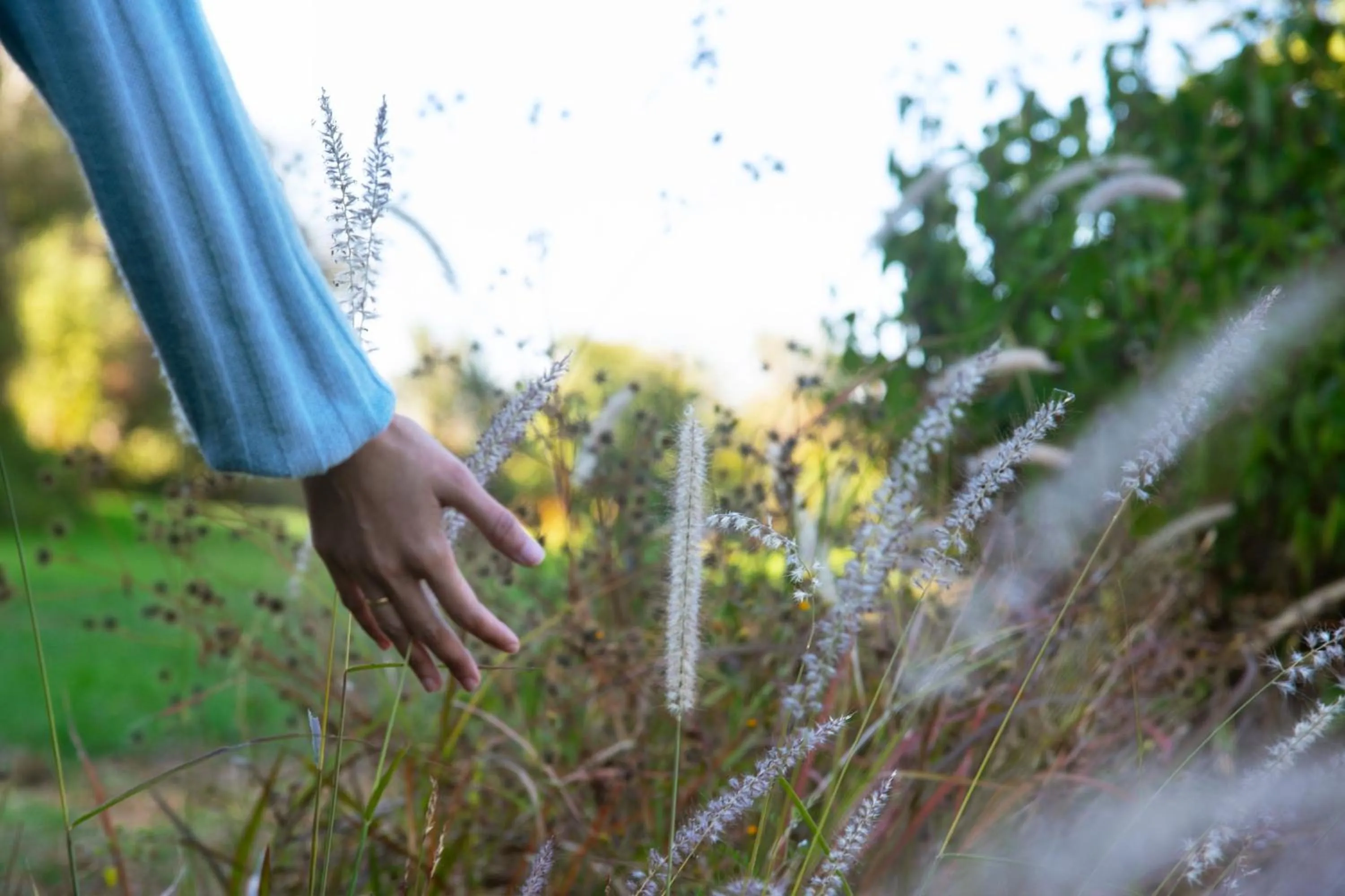 Other in JW Marriott Mussoorie Walnut Grove Resort & Spa
