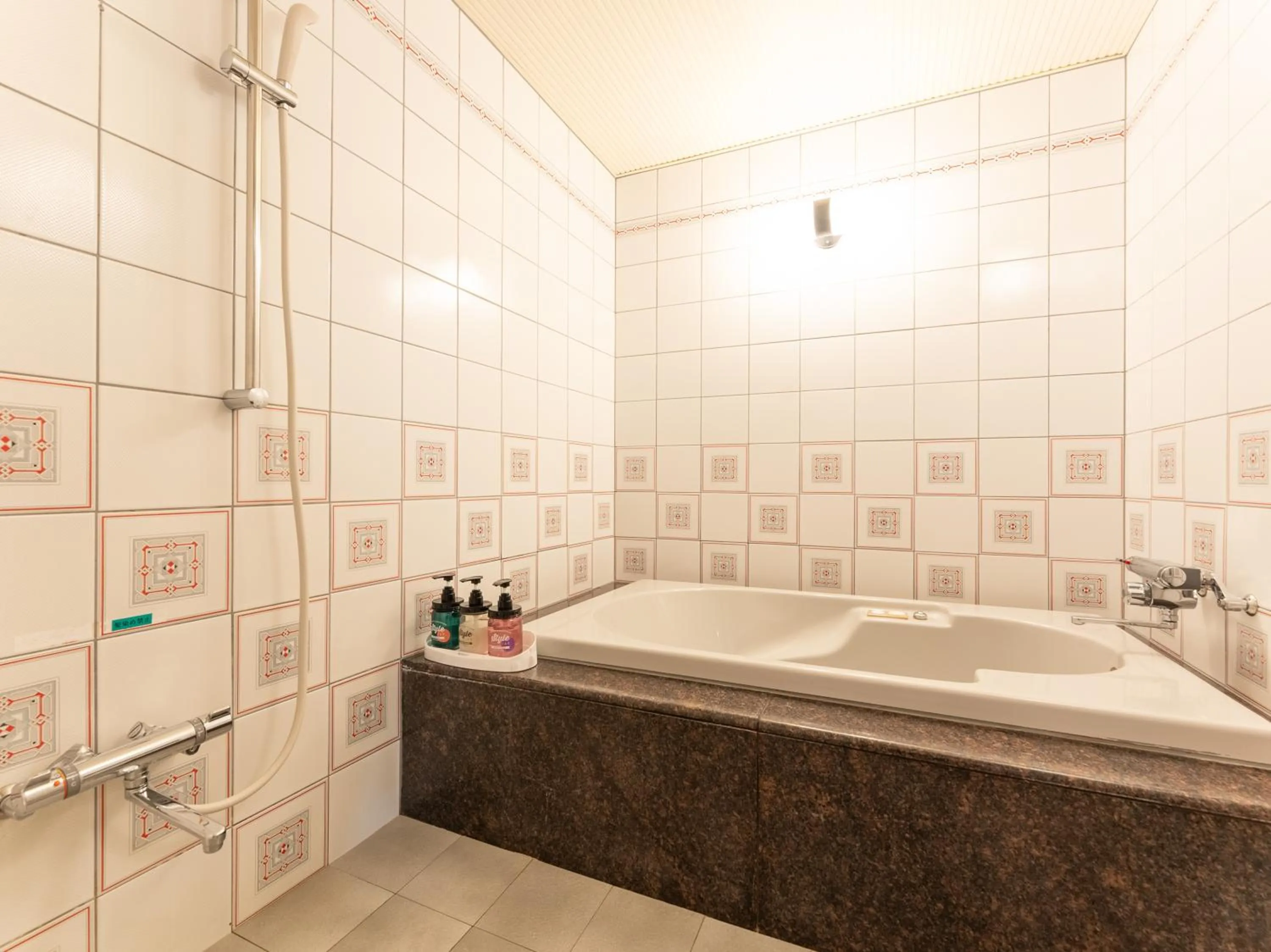 Shower in Tabist Shizukuishi Resort Hotel