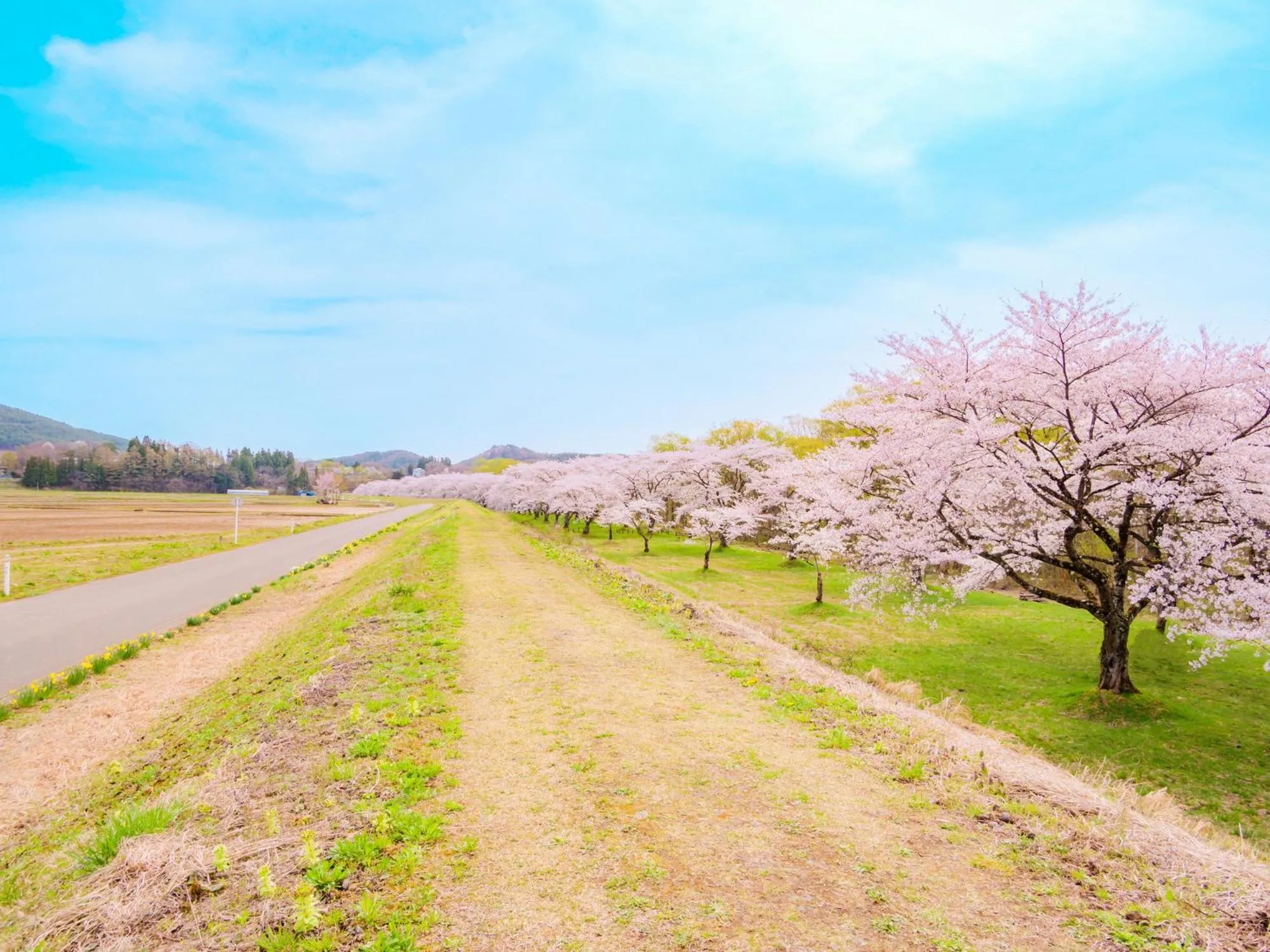 Spring in Tabist Shizukuishi Resort Hotel