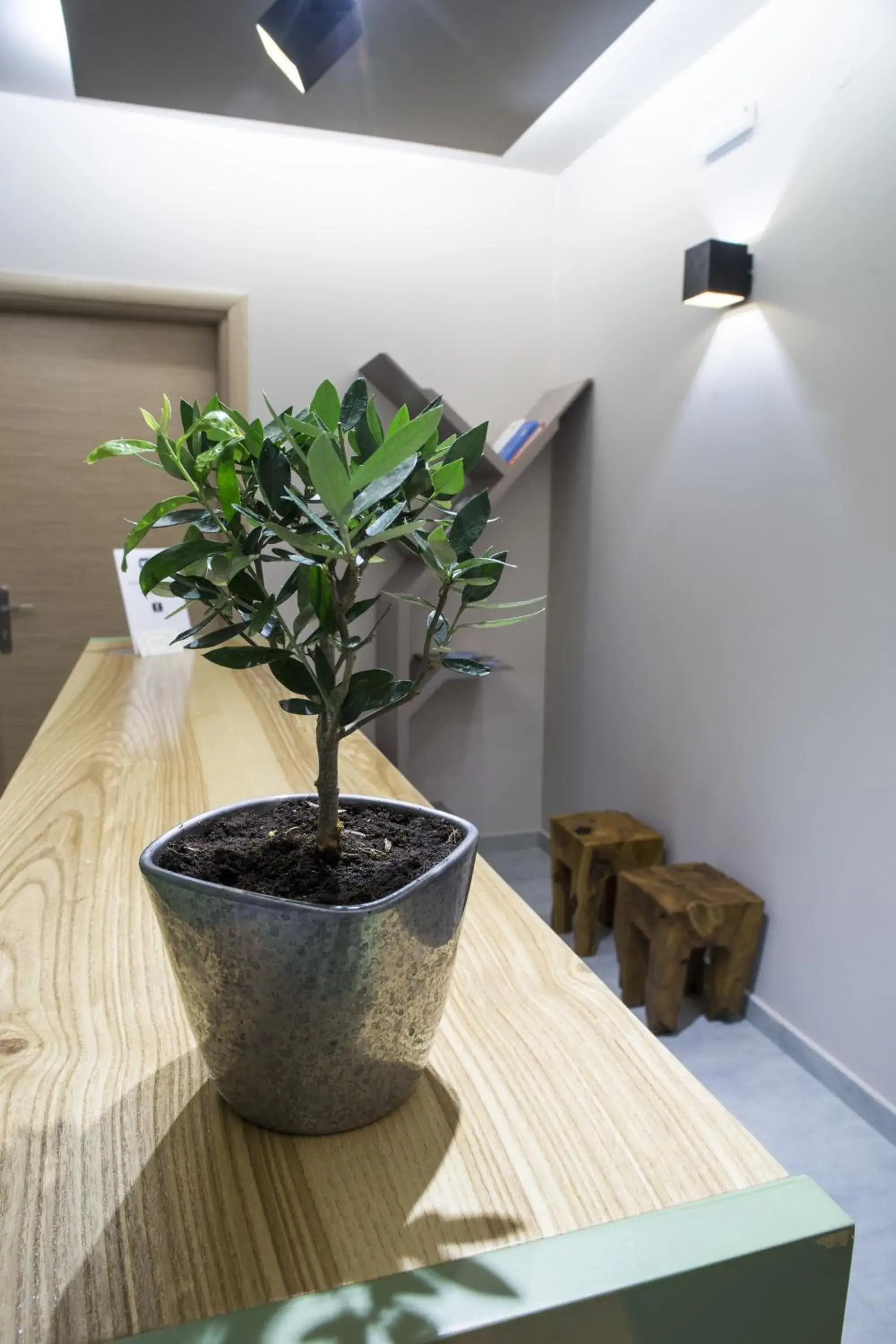 Library in Elia Potie Library in Elia Potie