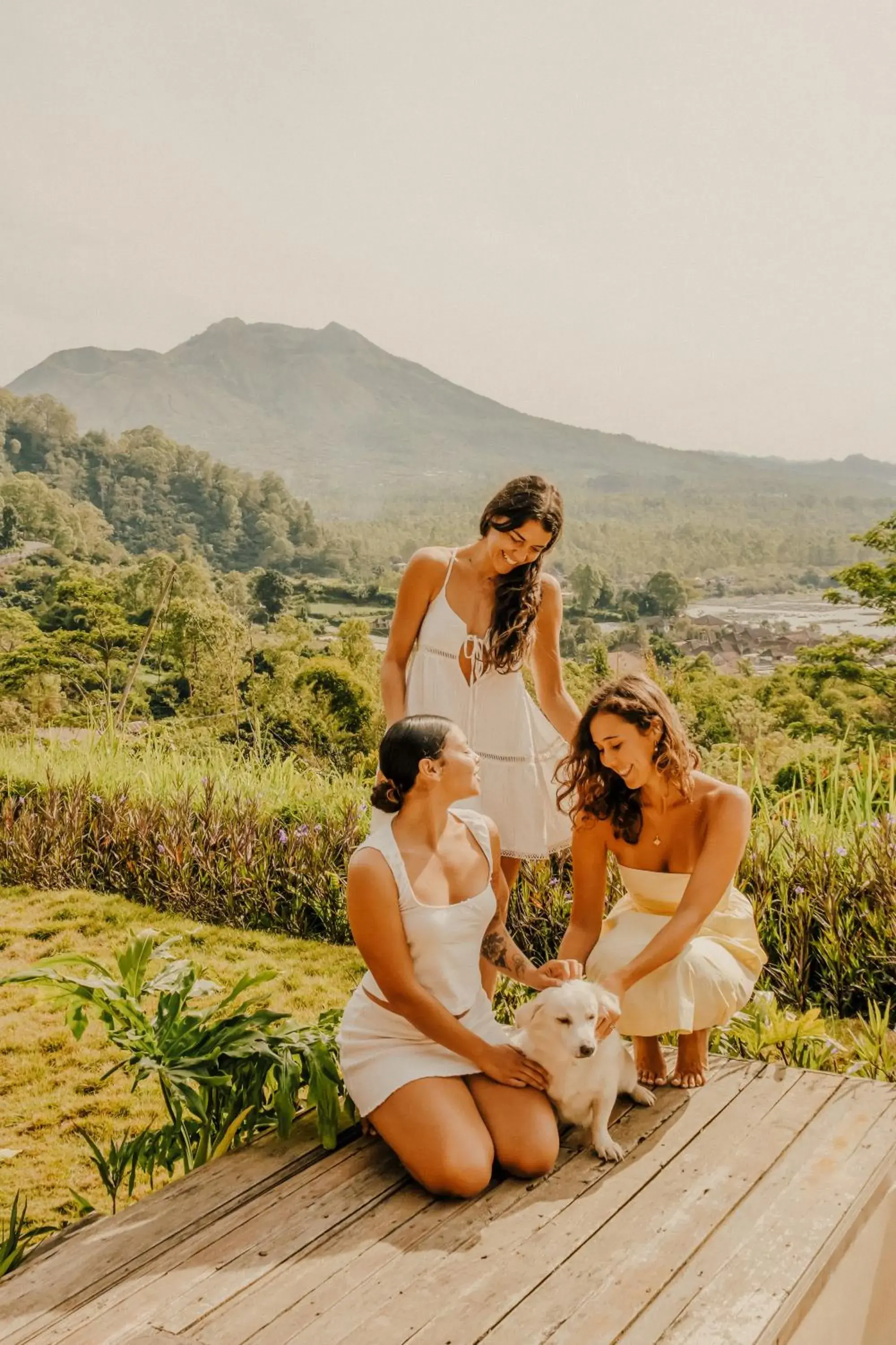 Property building in Calidas Hill Property building in Calidas Hill