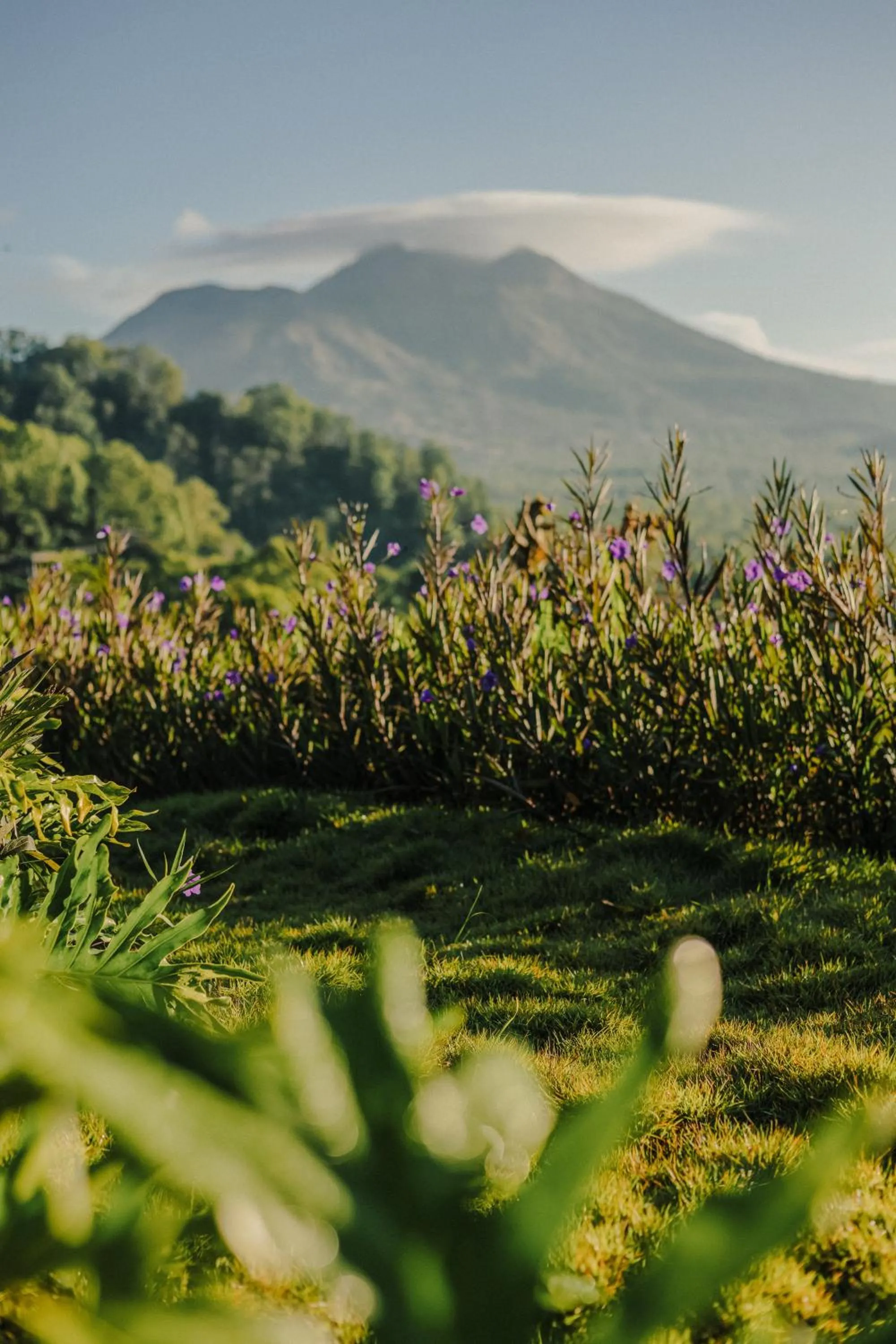 View (from property/room) in Calidas Hill
