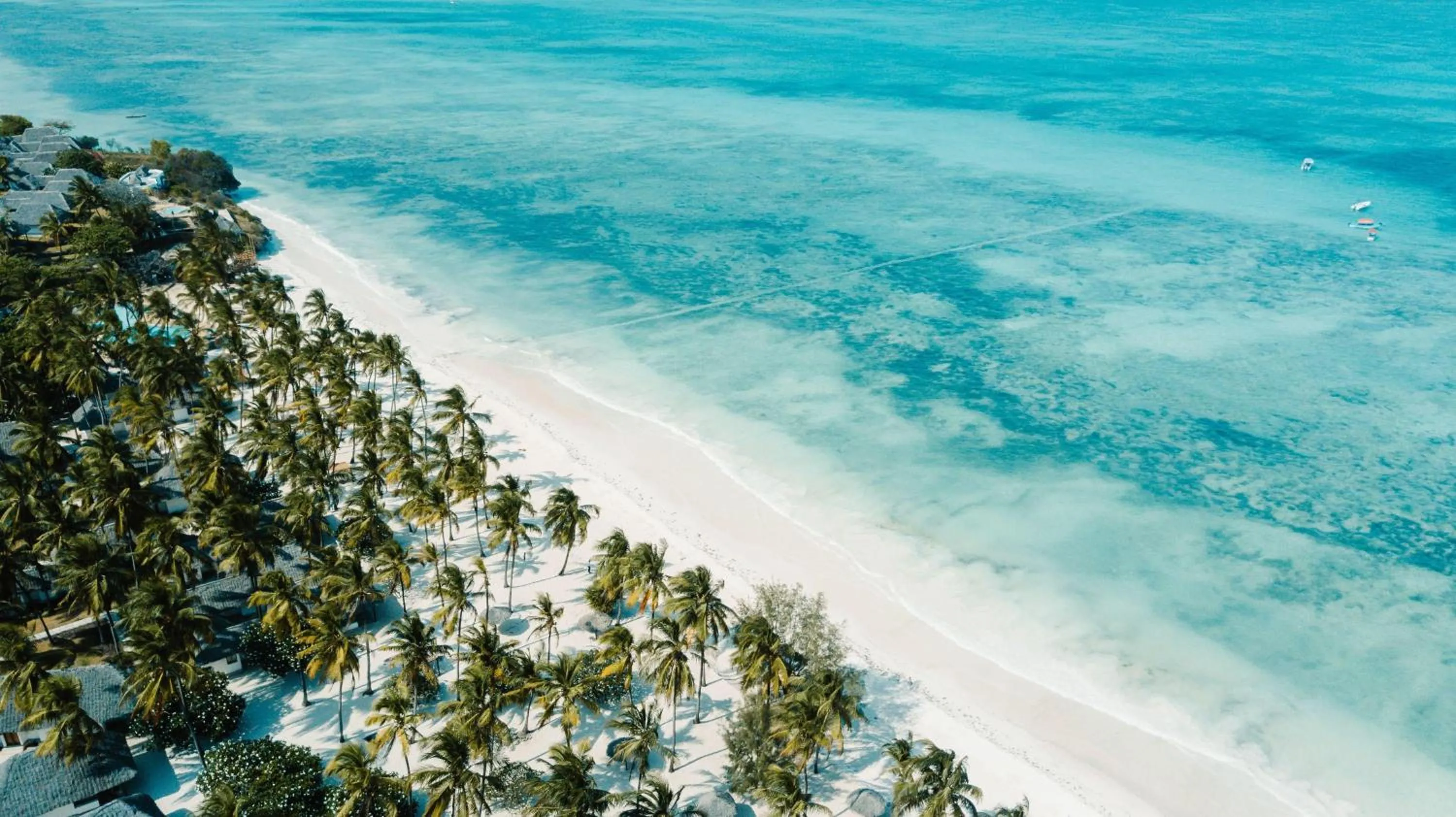 Other in JAZ Elite Aurora