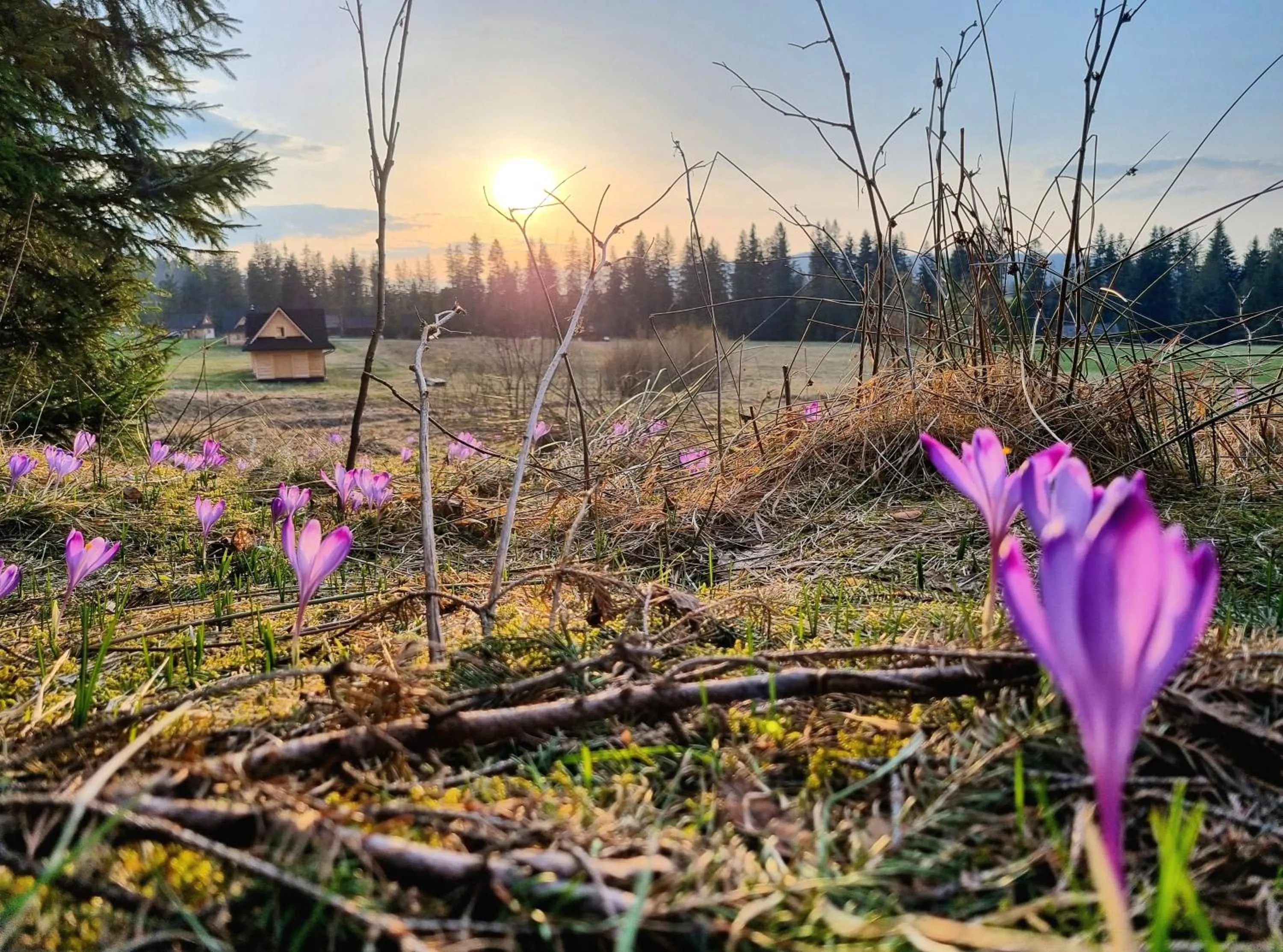 Spring in Zajazd Józef