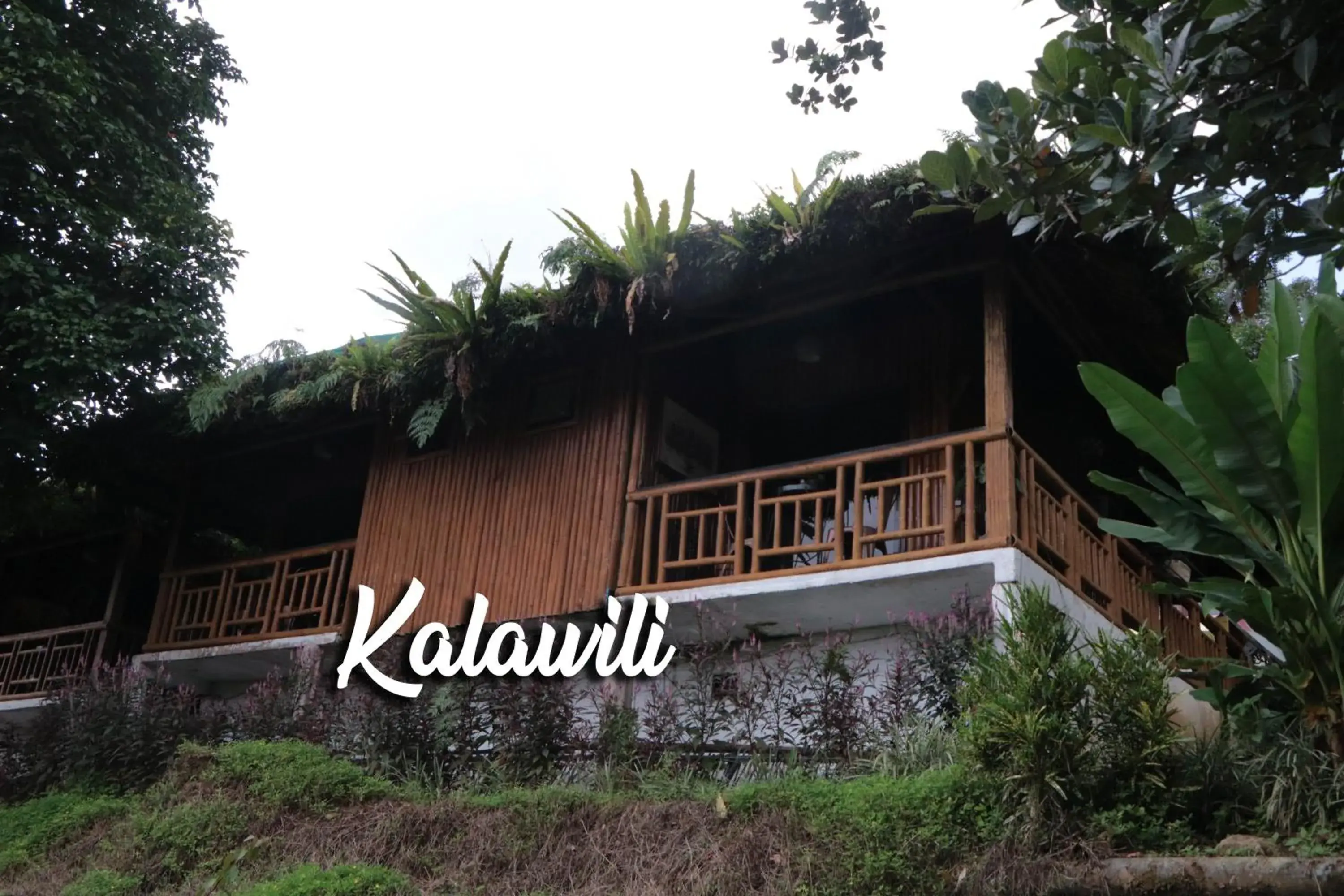 Samkara Restaurant and Garden Resort Samkara Restaurant and Garden Resort