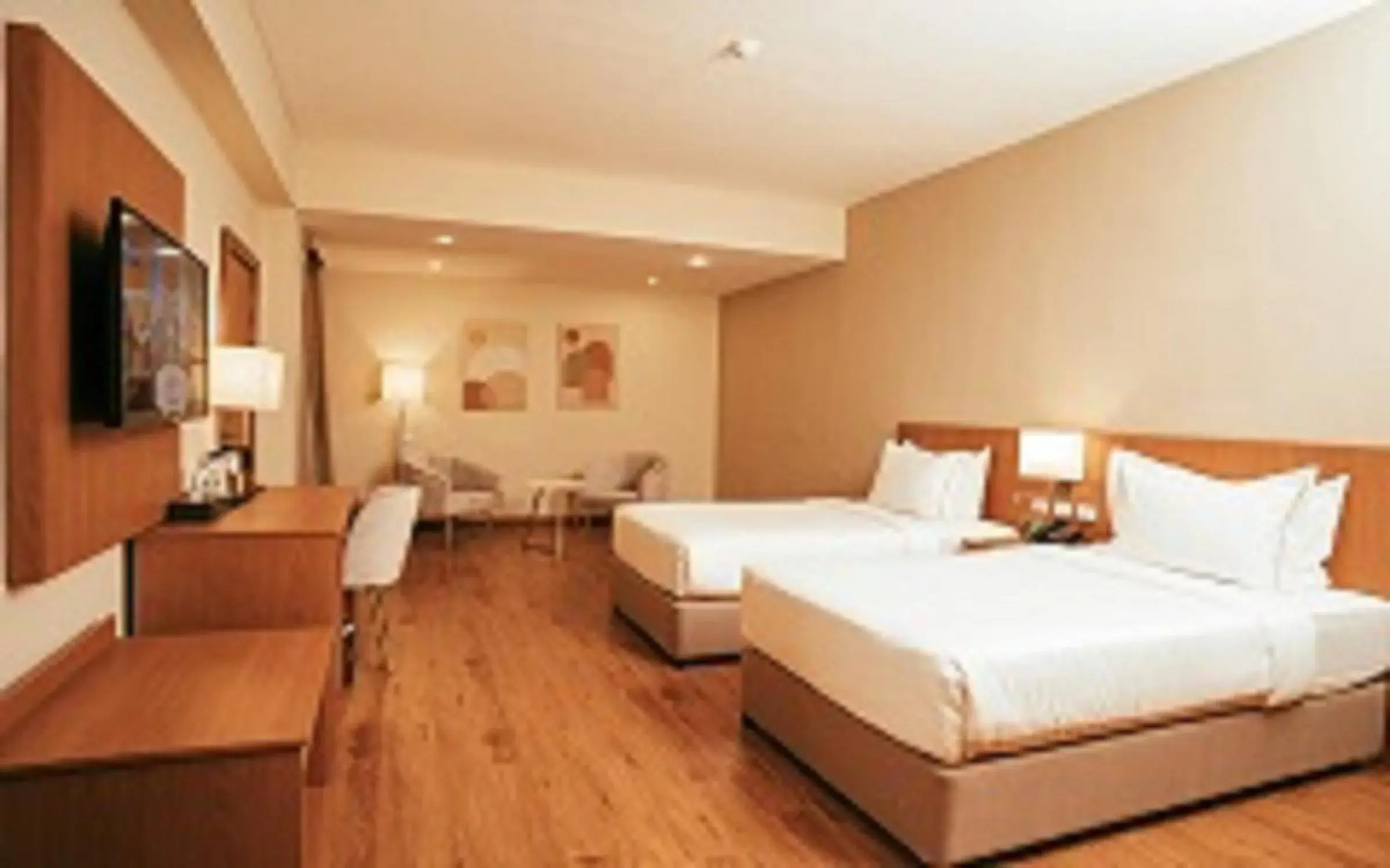 TV and multimedia, Bed in AYA Addis Hotel TV and multimedia, Bed in AYA Addis Hotel