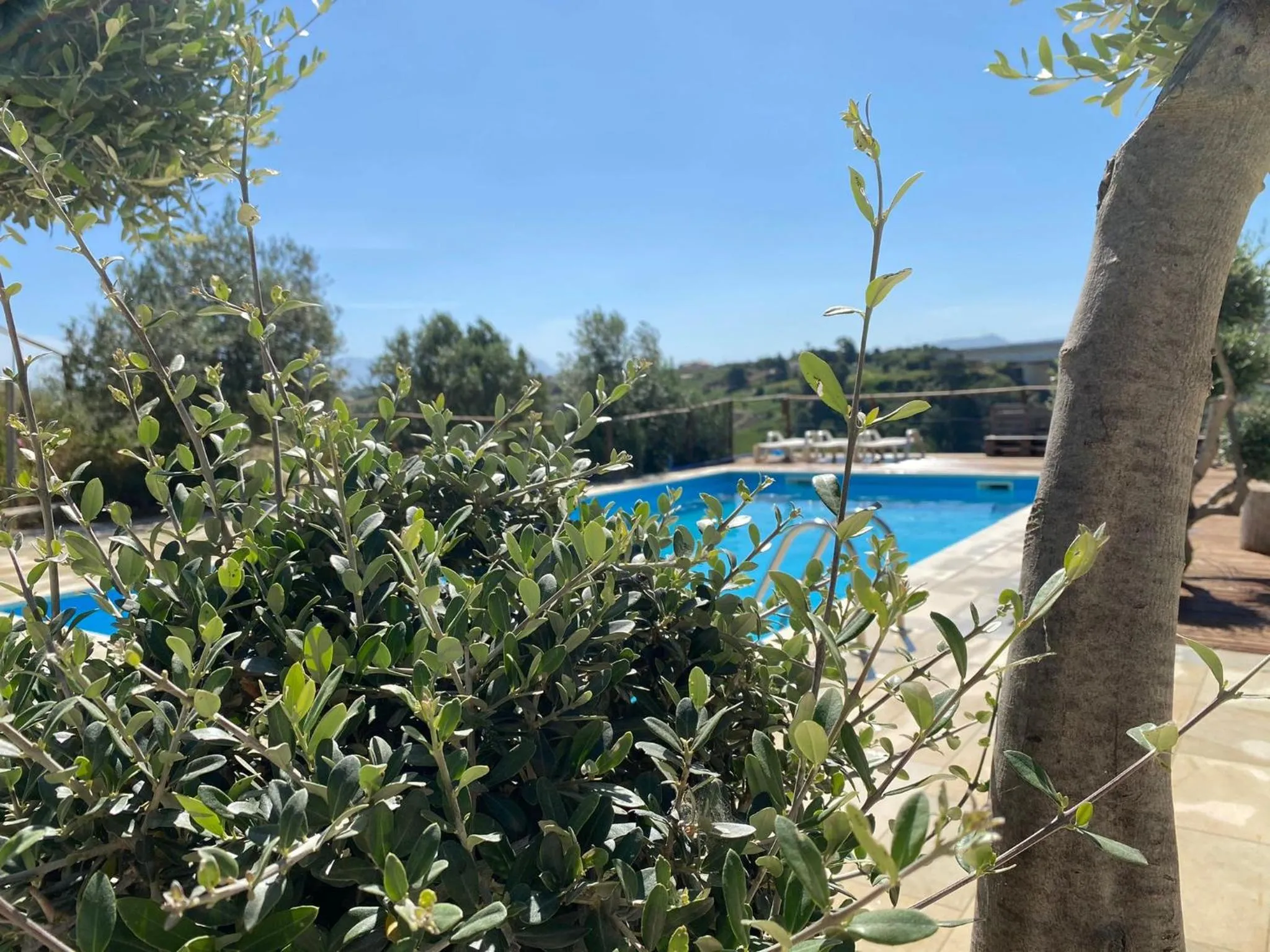 Swimming pool in B&B Pelagos