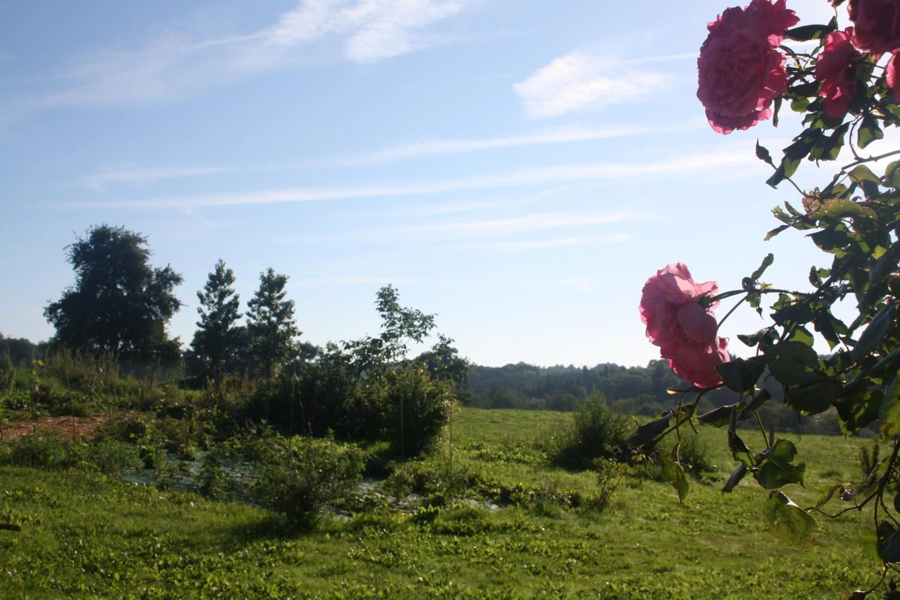 Spring in B&B Le Relais de Chantecor