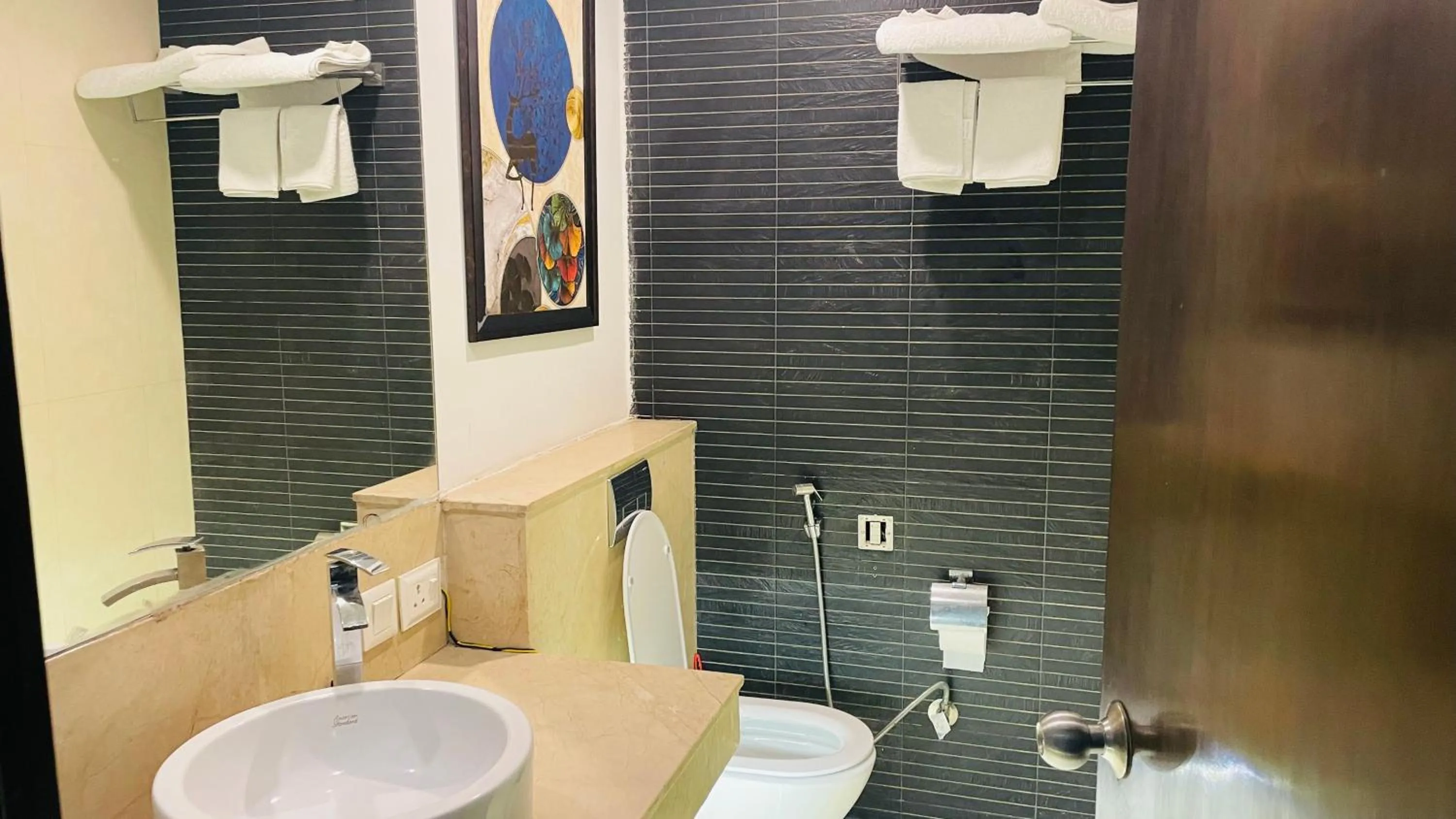 Shower in Saltstayz Select - Malcha & Chankyapuri