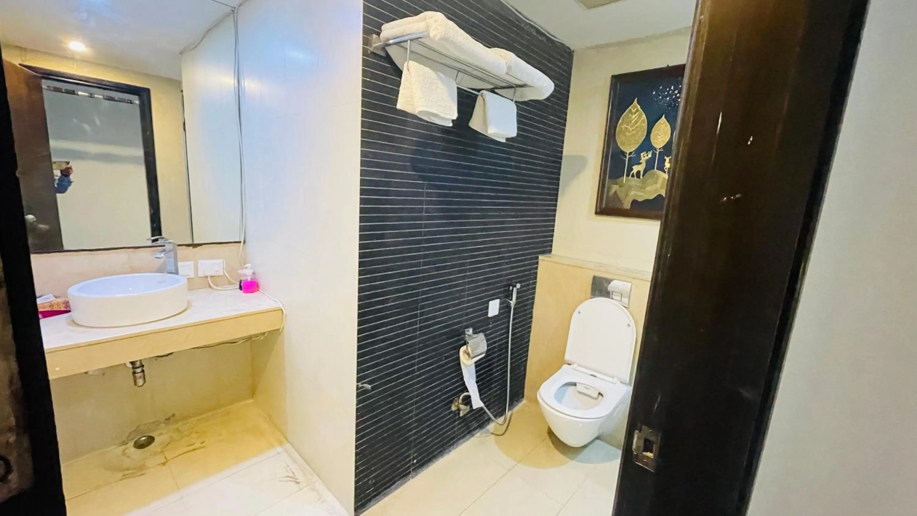 Bathroom in Saltstayz Select - Malcha & Chankyapuri