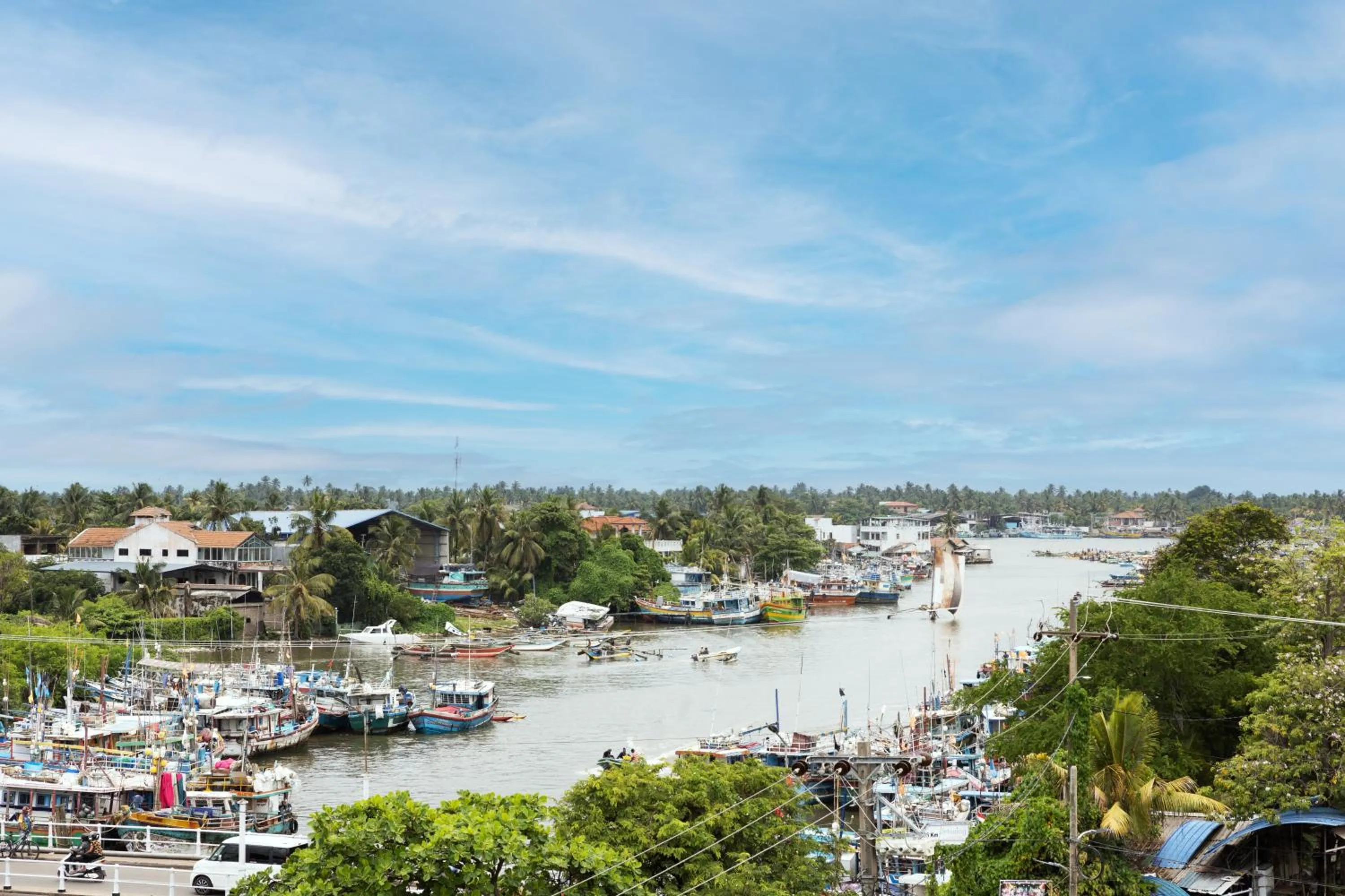 Natural landscape in The Waterfront
