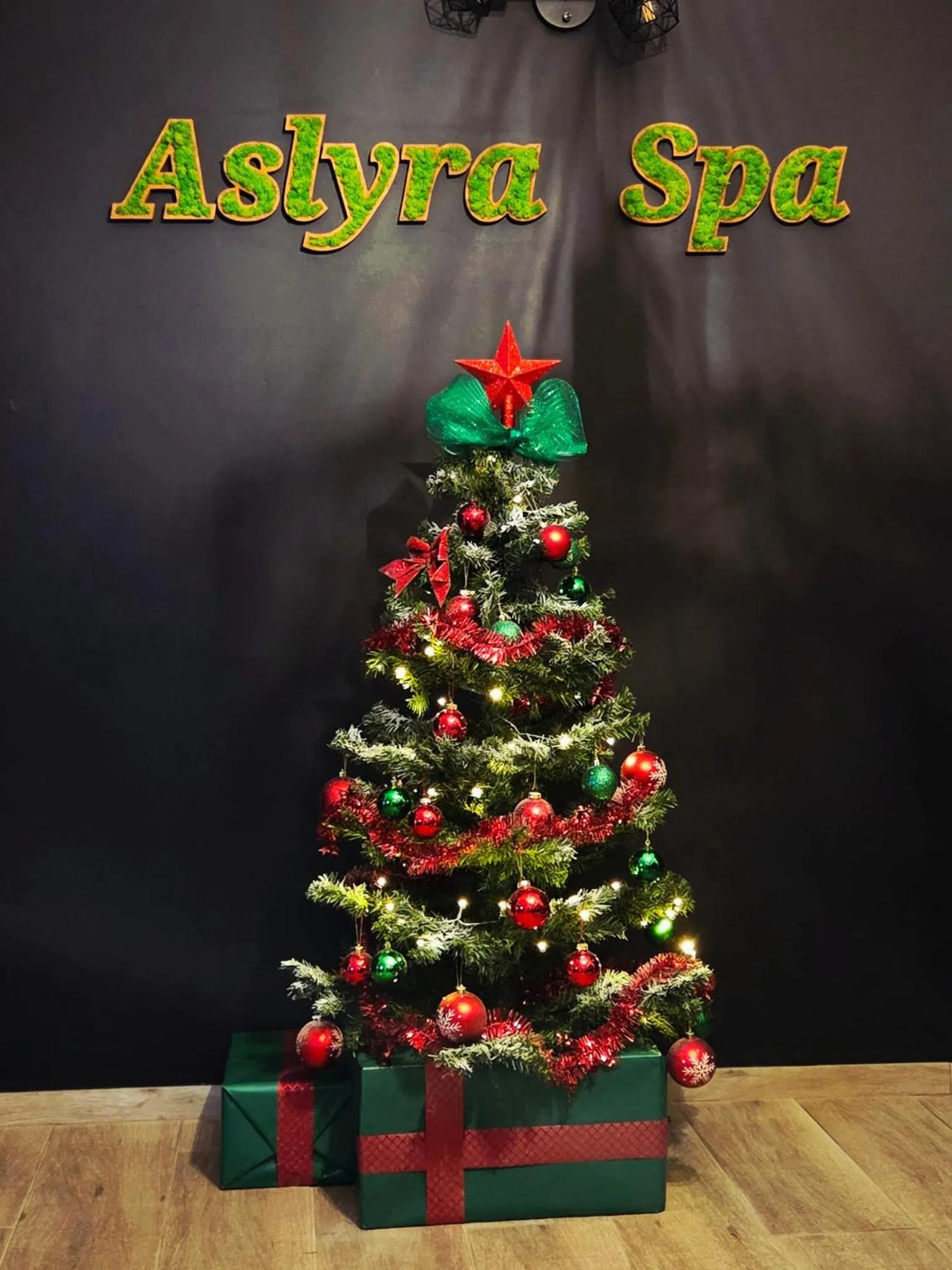 Aslyra "Appart-hôtel"