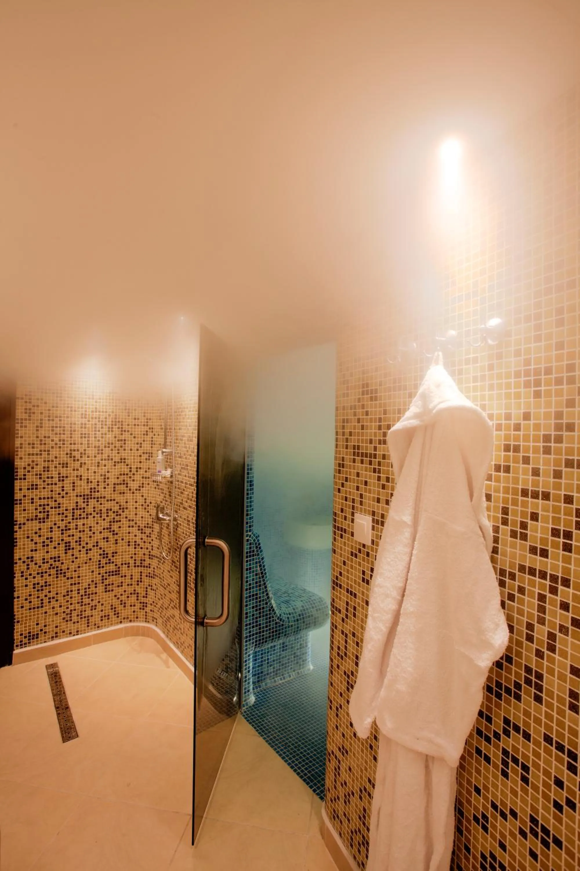 Spa and wellness centre/facilities in Old Plovdiv House in Kapana Area