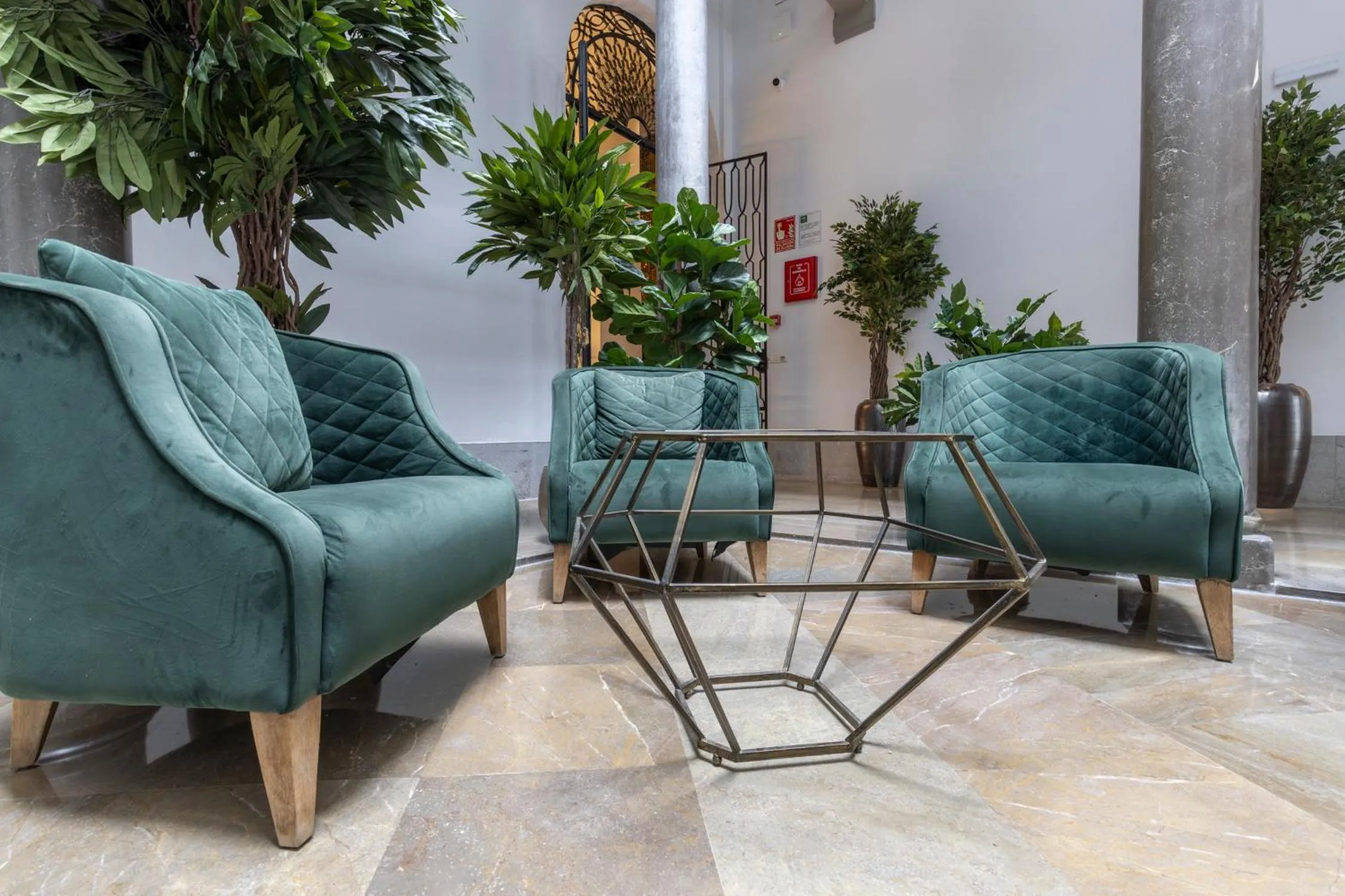 Area and facilities in BiBo Suites Palacio de Portago