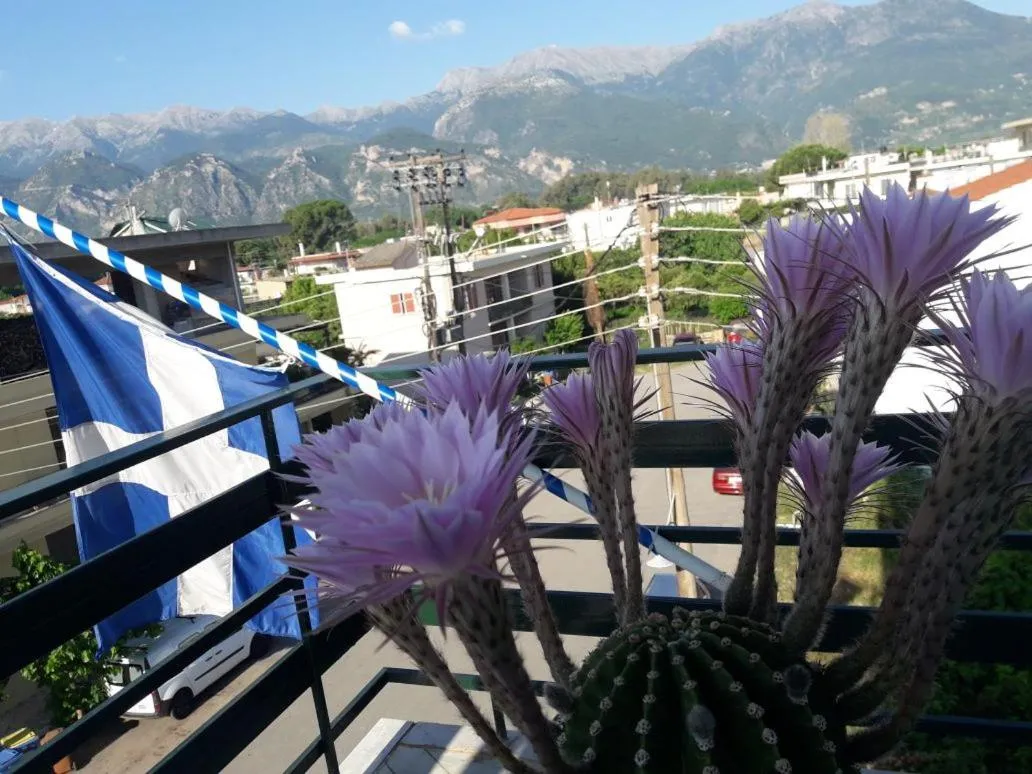 View (from property/room) in HELLAS PALACE ROOM PRIVATE