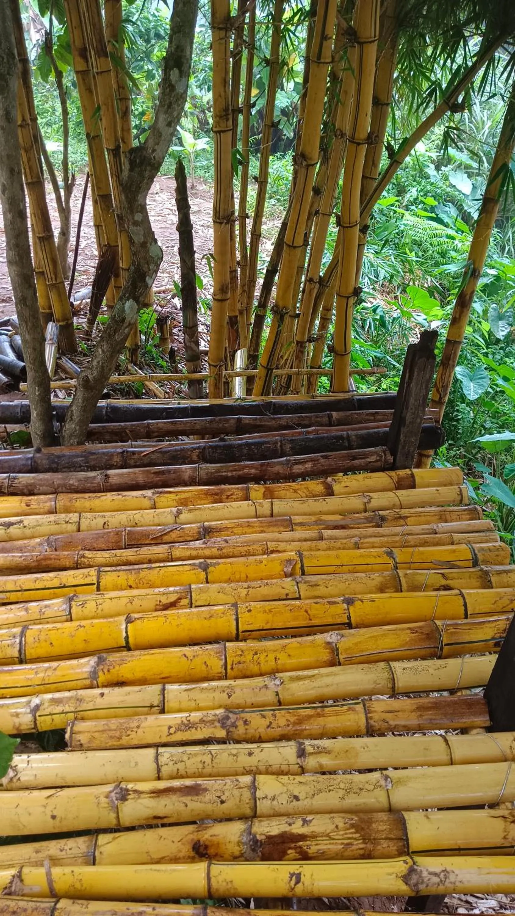 The wayside cottage Munnar