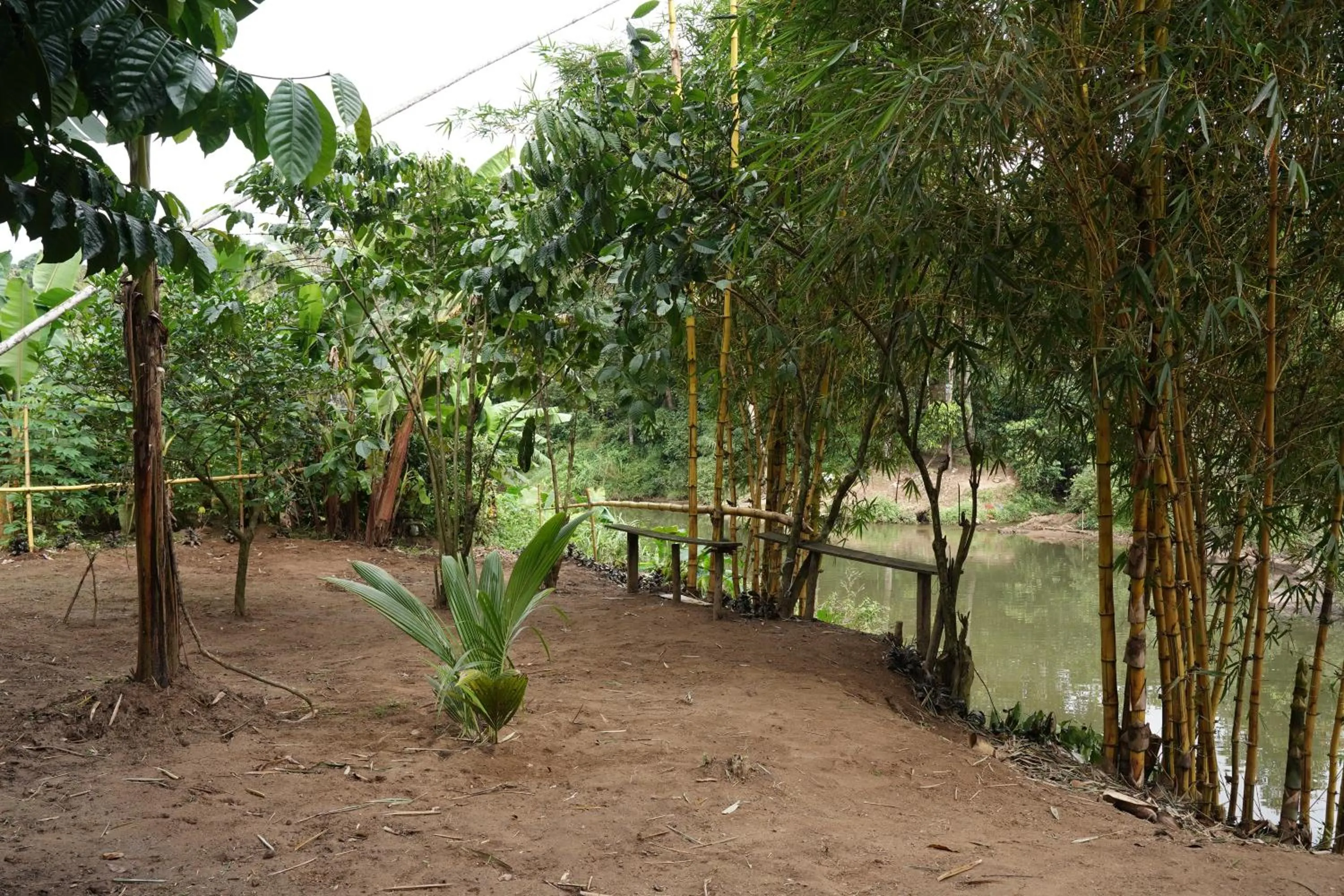 The wayside cottage Munnar