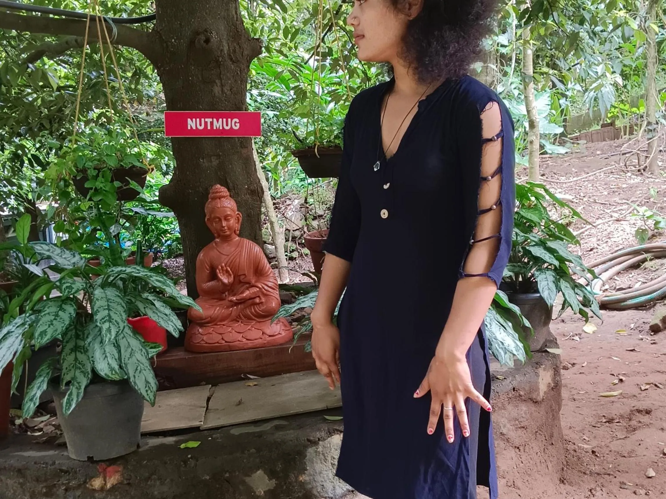 The wayside cottage Munnar