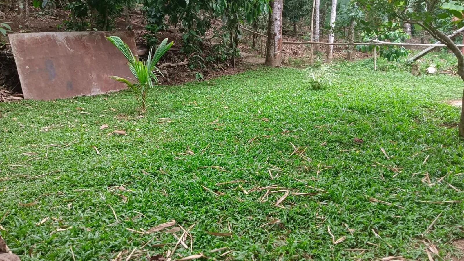 Natural landscape in The wayside cottage Munnar