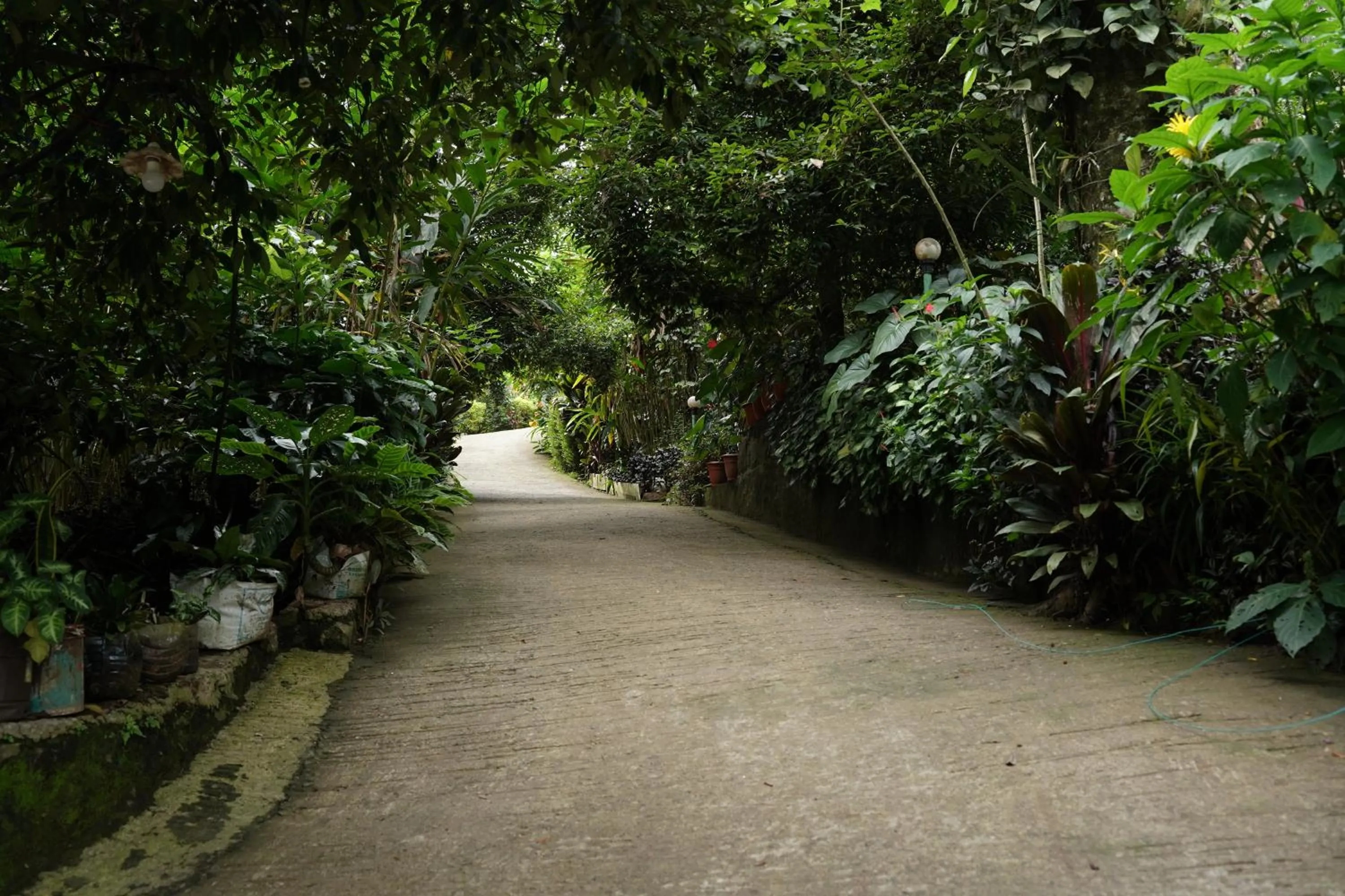 The wayside cottage Munnar