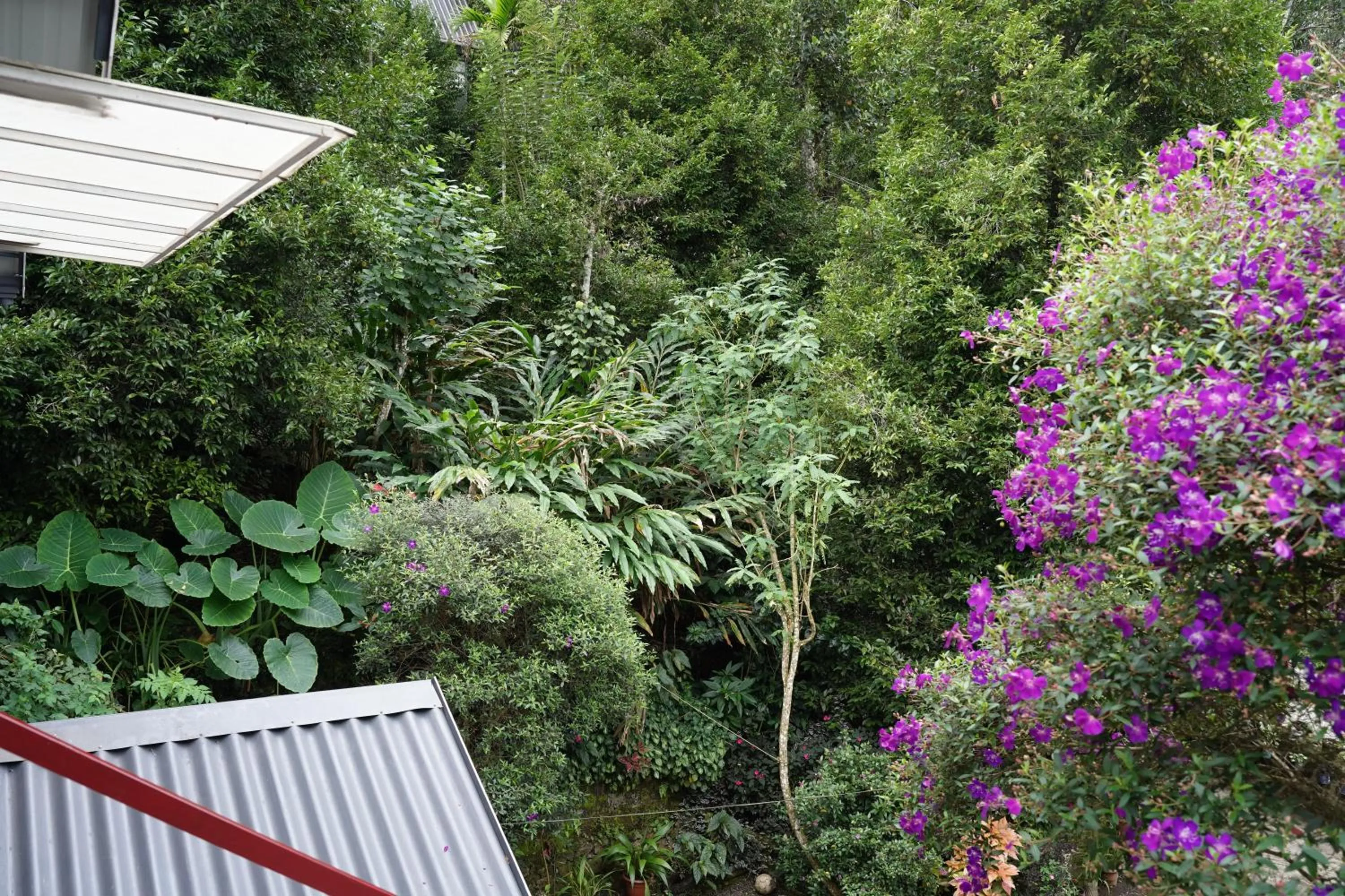 The wayside cottage Munnar