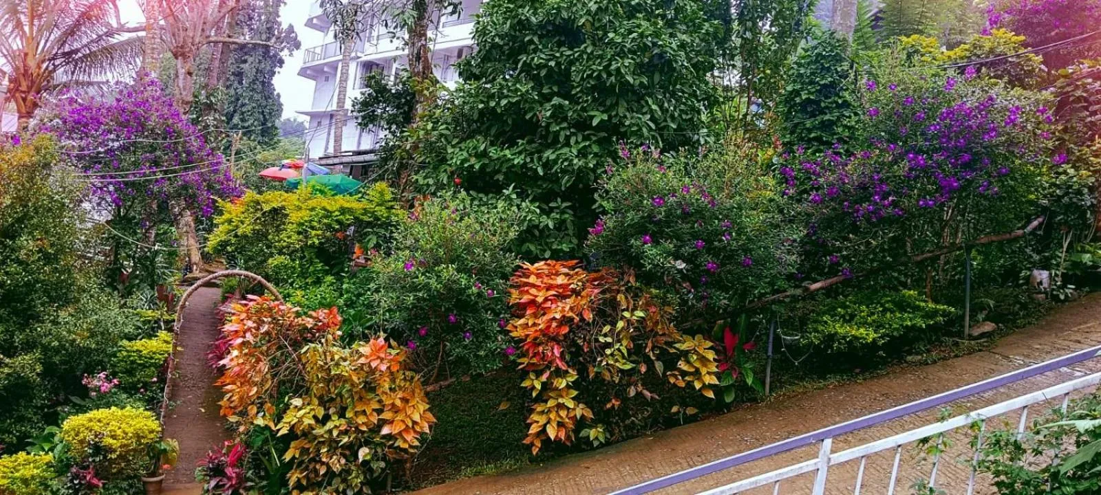 The wayside cottage Munnar