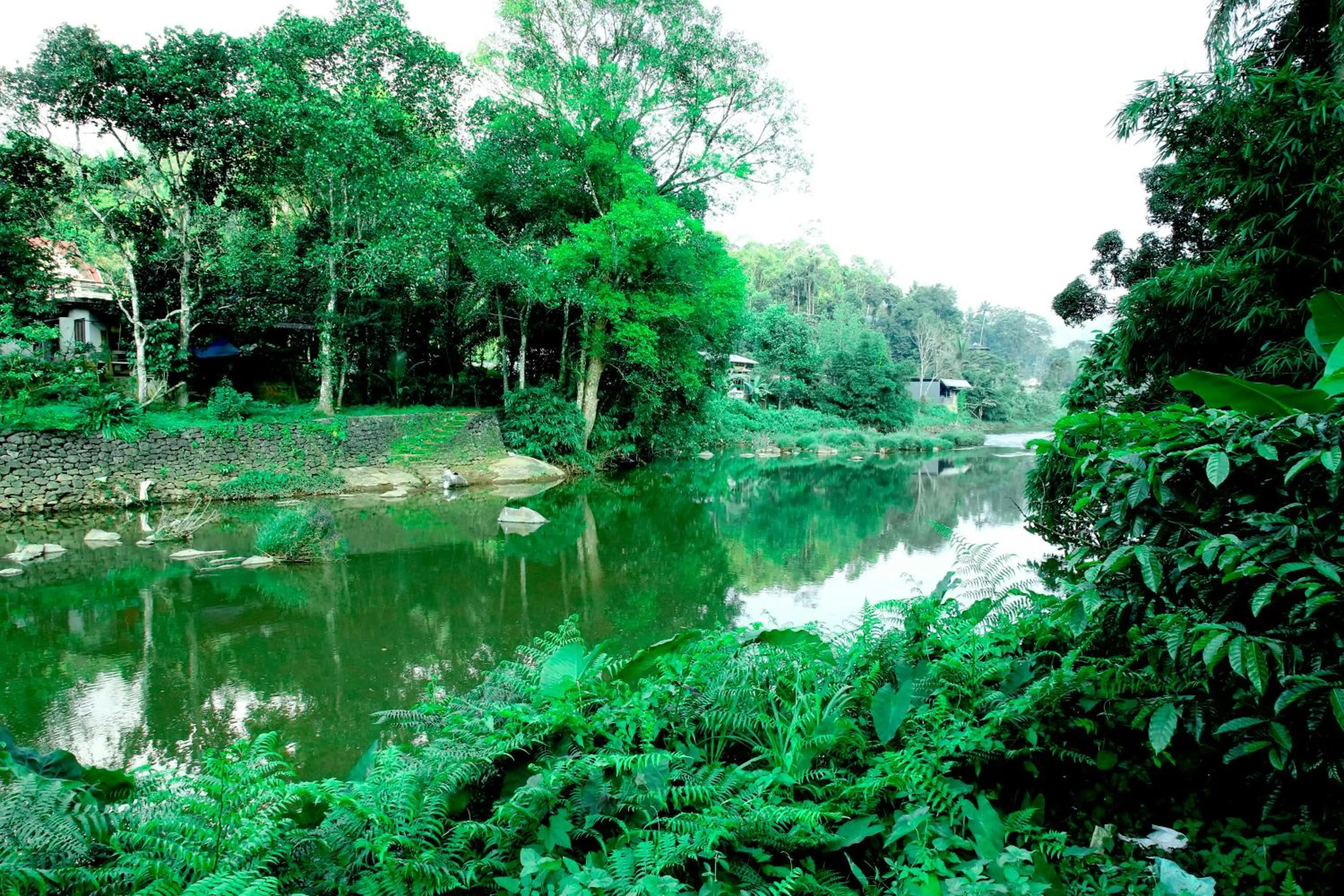 The wayside cottage Munnar