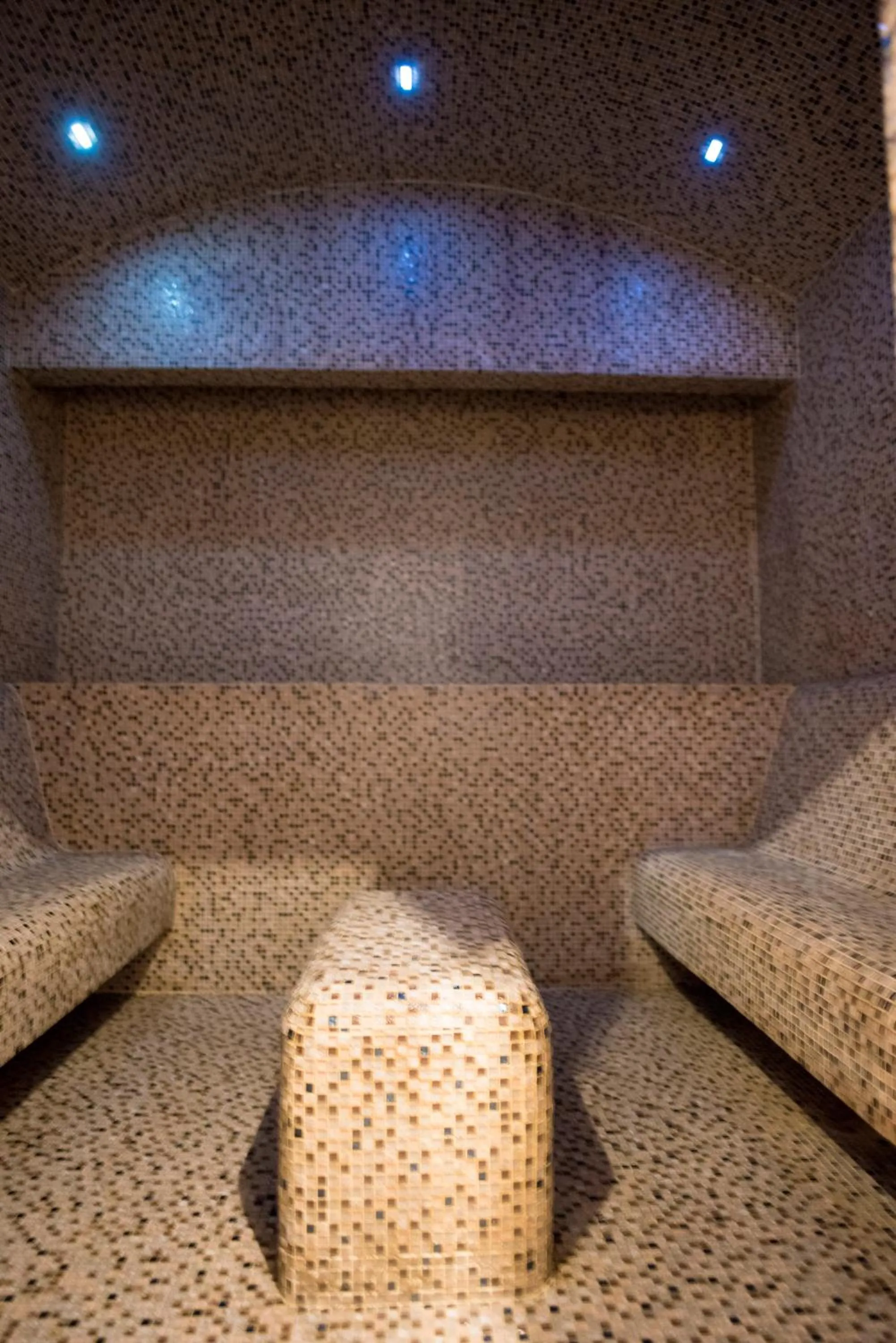 Sauna in Le Louvre Hotel & Spa