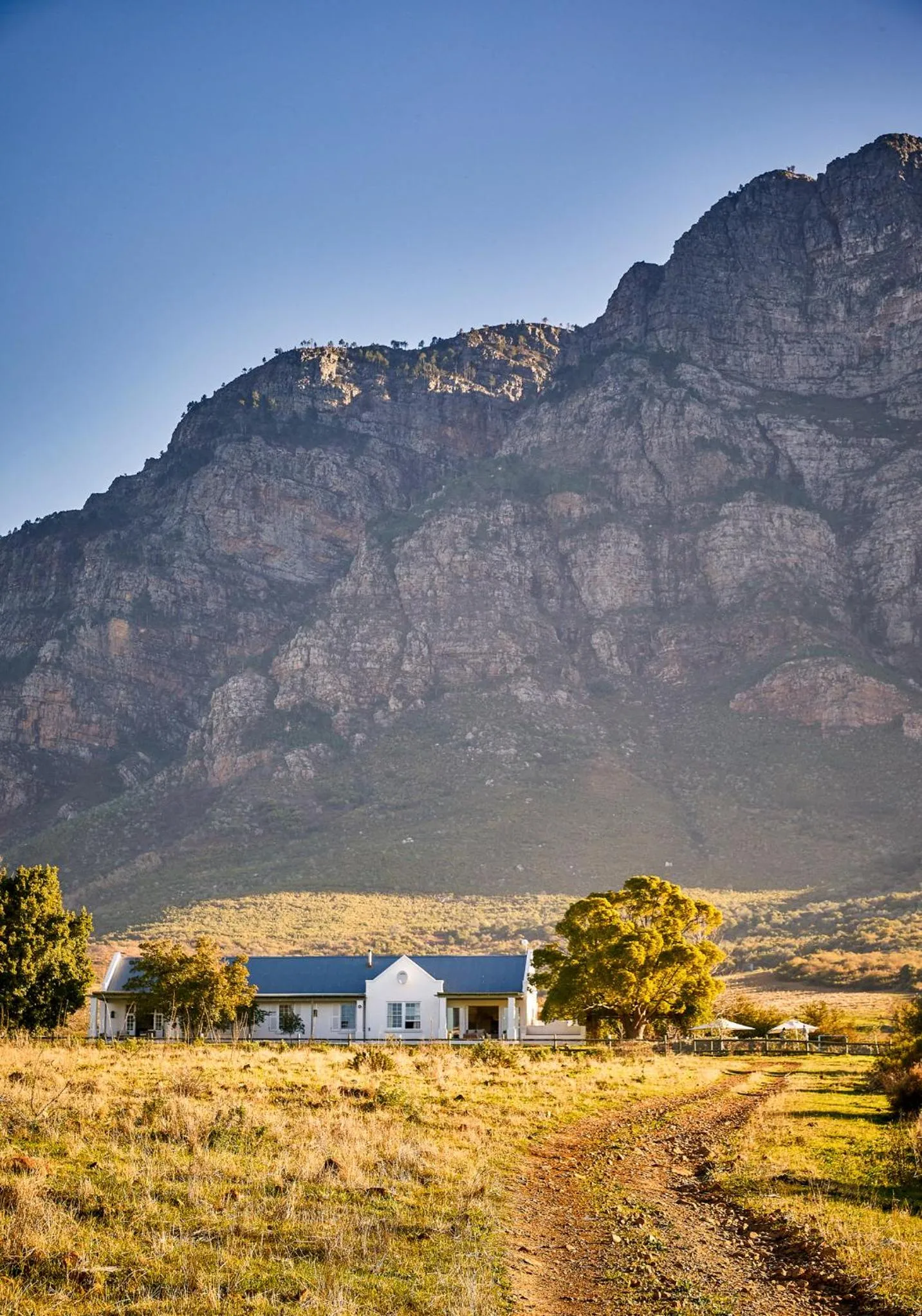 Natural landscape in Boschendal Farm Estate