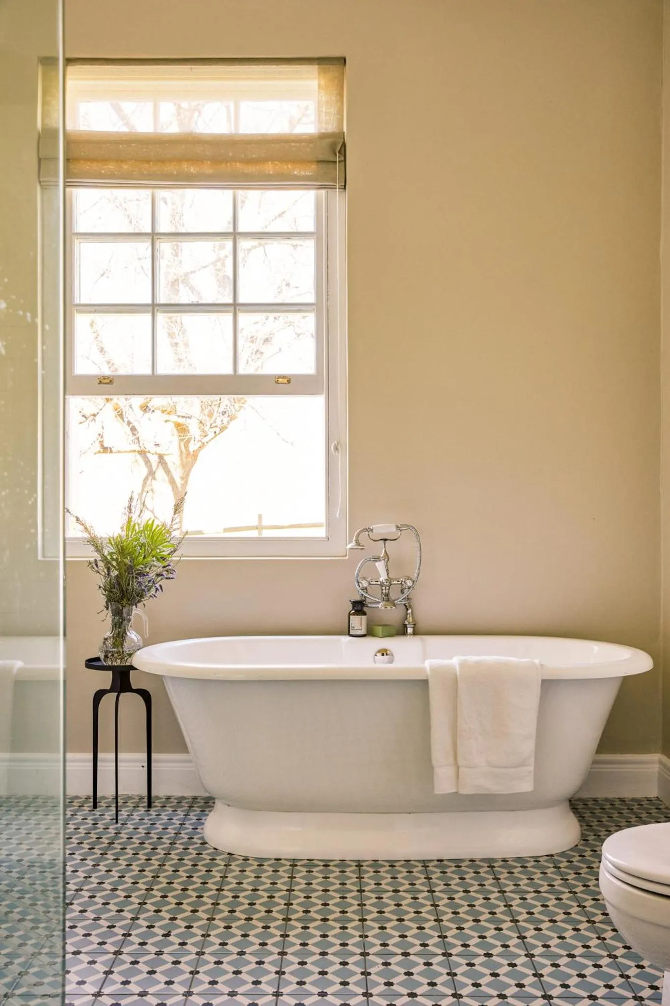 Toilet in Boschendal Farm Estate